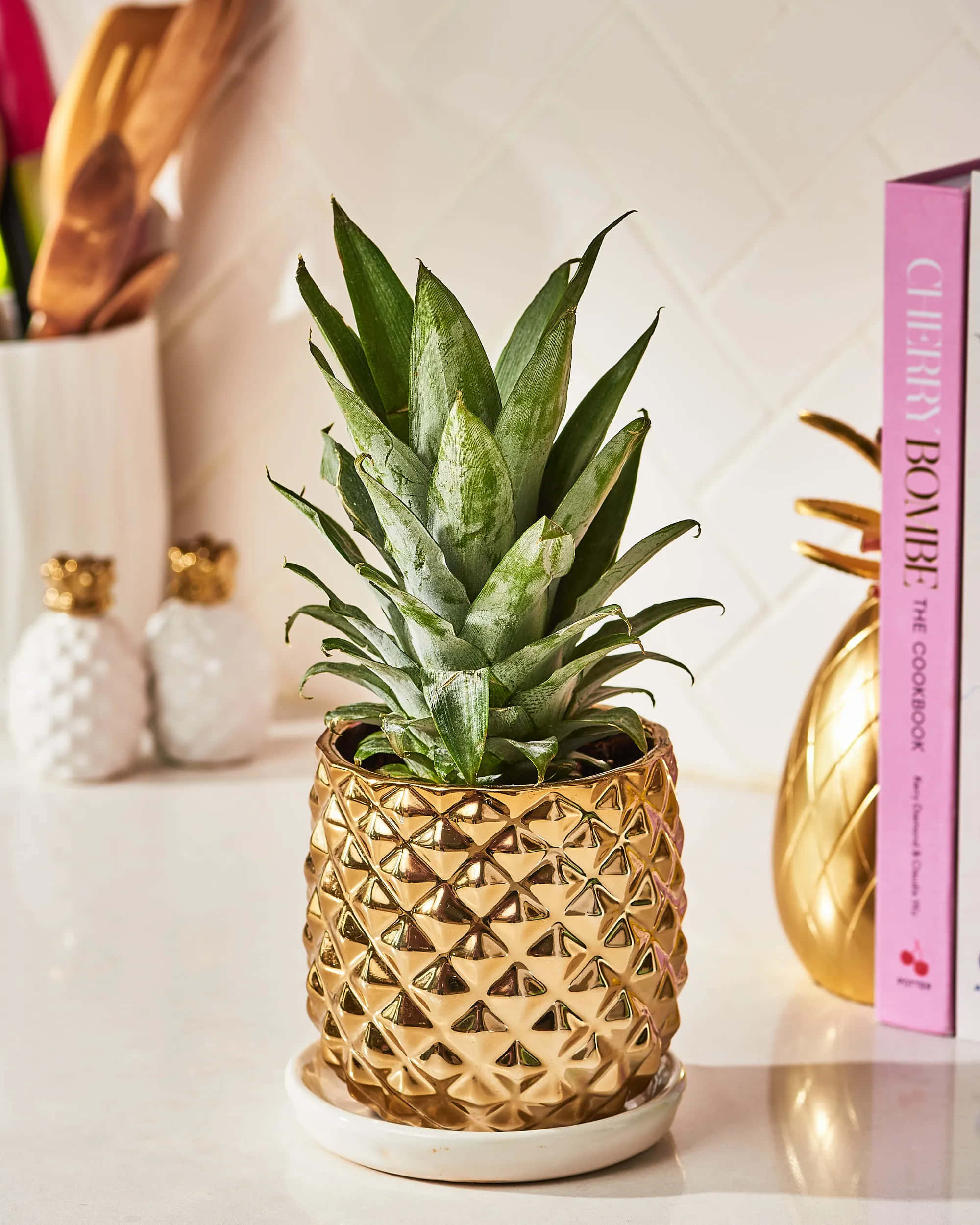 Pineapple 桌布 壁紙 — 一個金色鳳梨形花盆在白色檯面上，旁邊放著一本粉紅色食譜書和裝飾品，裡面種植著茂盛的綠色植物。