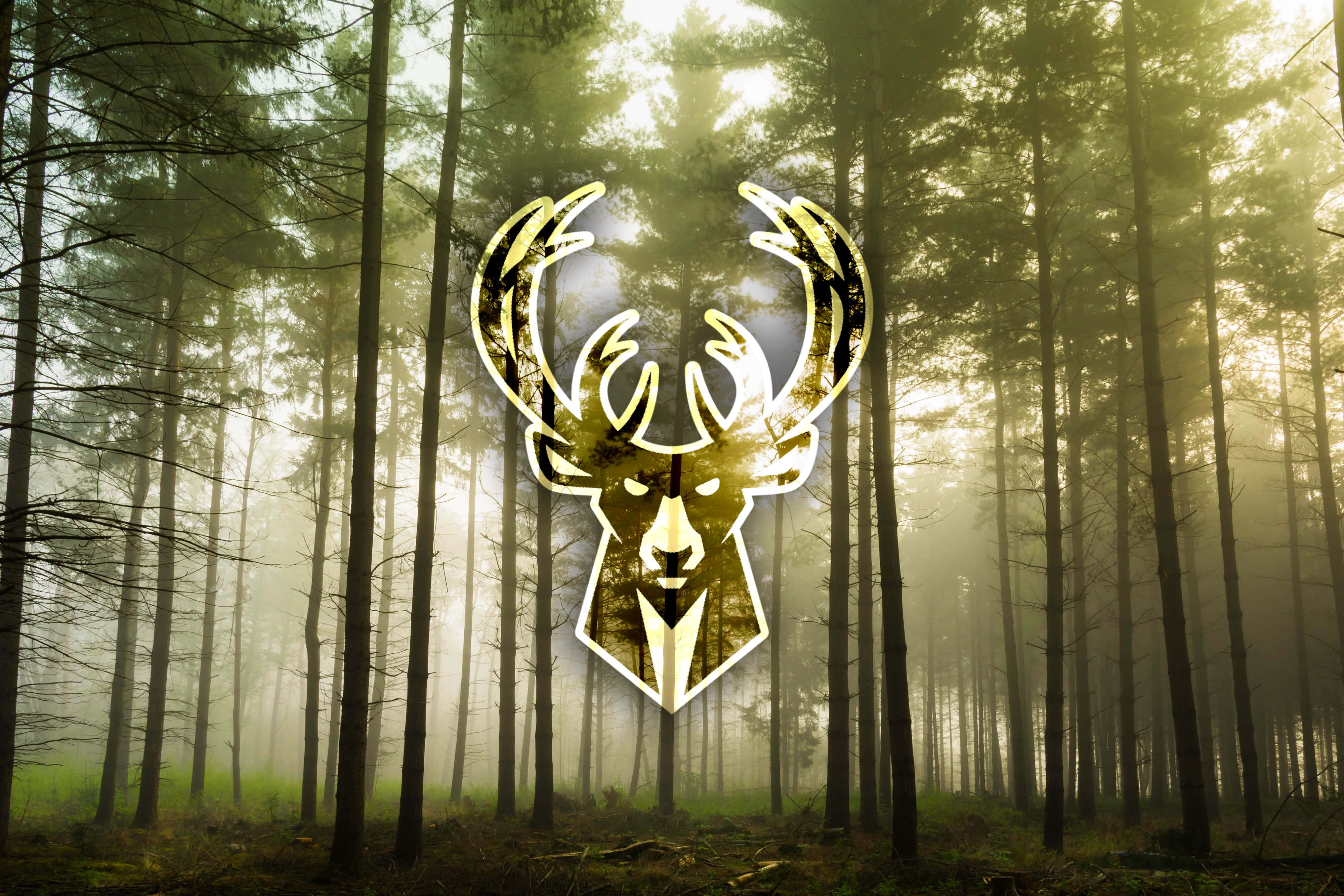 Milwaukee Bucks Logo 桌布 壁紙 — 一個金色鹿頭標誌在霧氣瀰漫的森林中發光，周圍有高大的樹木和柔和的光線穿過。