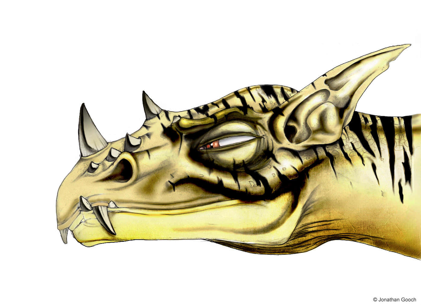 Dragon Profile 桌布 壁紙 — 一個金色龍頭，帶有鋒利的角和發光的紅色眼睛，在純白背景下強烈凝視。