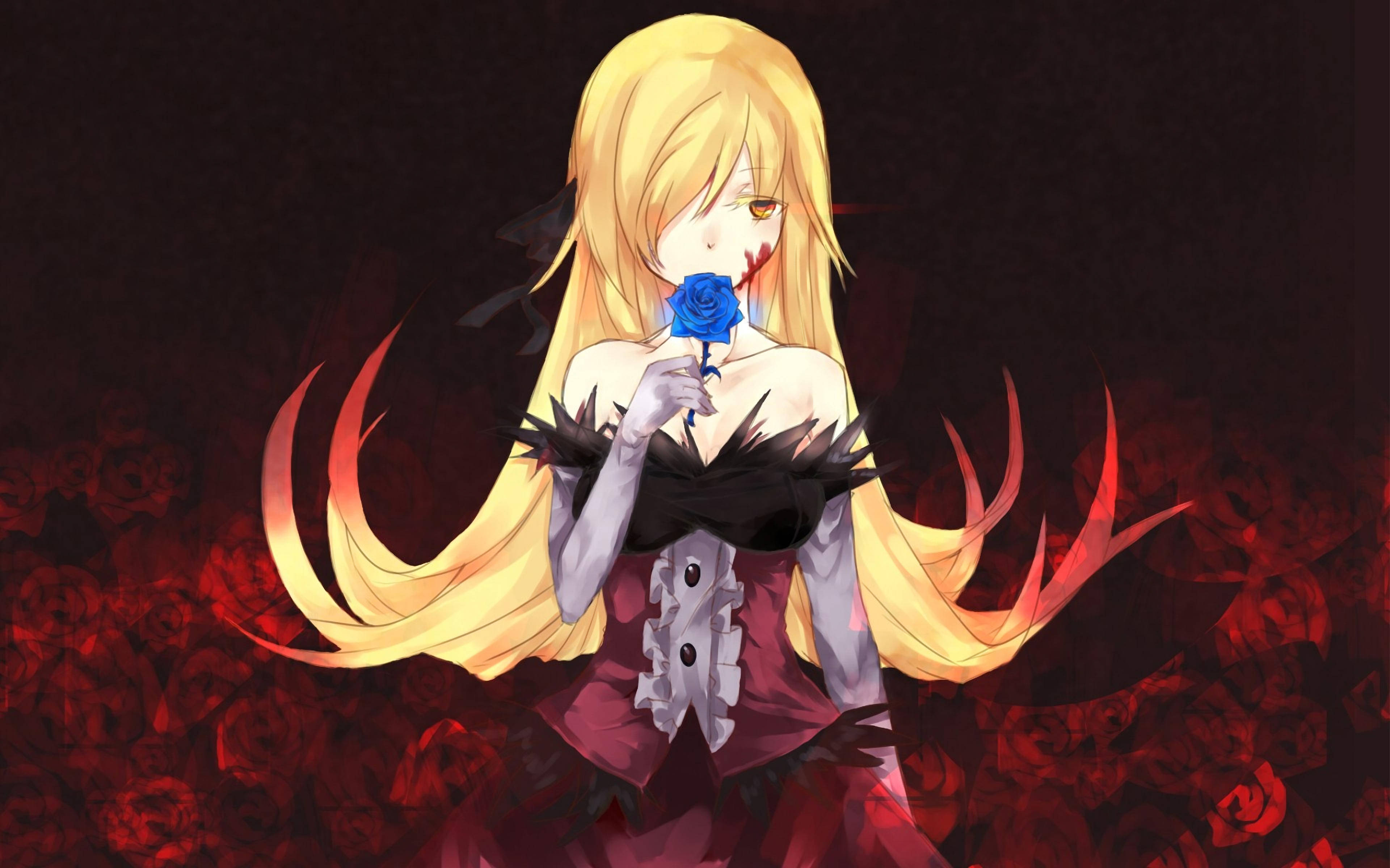 Monogatari 桌布 壁紙 — 一個金髮動漫女孩，嘴唇帶血，在深紅玫瑰田中手持藍玫瑰。