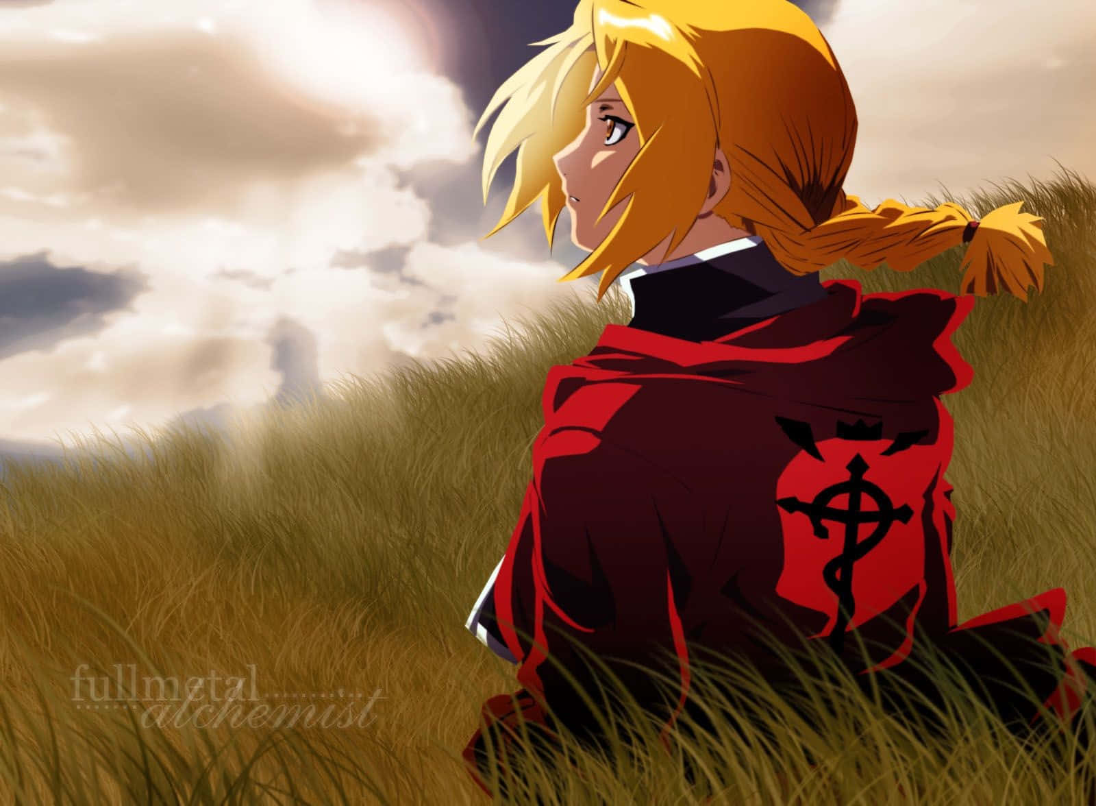 Fullmetal Alchemist 桌布 壁紙 — 一個金髮動漫女孩穿著紅色外套，獨自坐在多雲天空下的高草叢中。