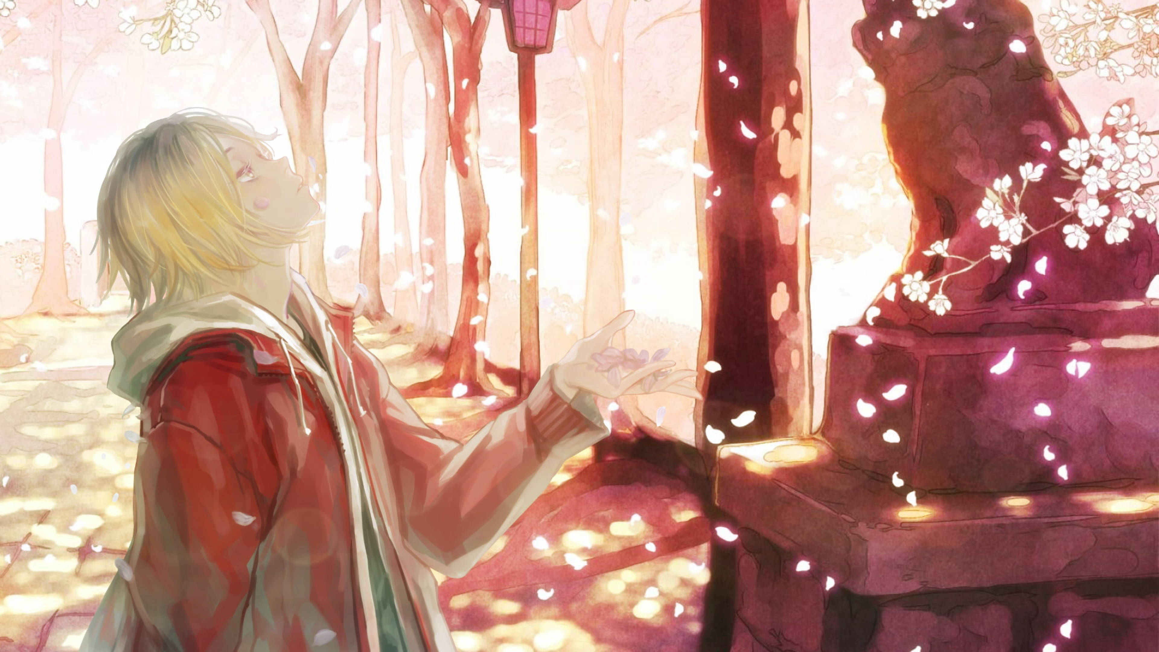 Kenma Kozume 桌布 壁紙 — 一個金髮動漫男孩穿著紅色外套，在陽光明媚的森林中，輕輕伸手觸碰石祠旁飄落的櫻花。