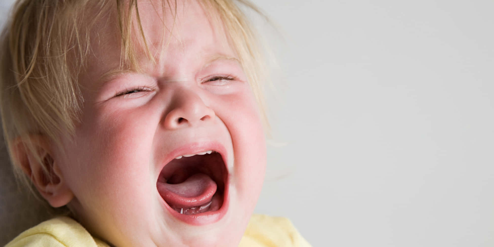 cry 桌布 壁紙 — 一個金髮小孩在純白背景下激烈哭泣的特寫。