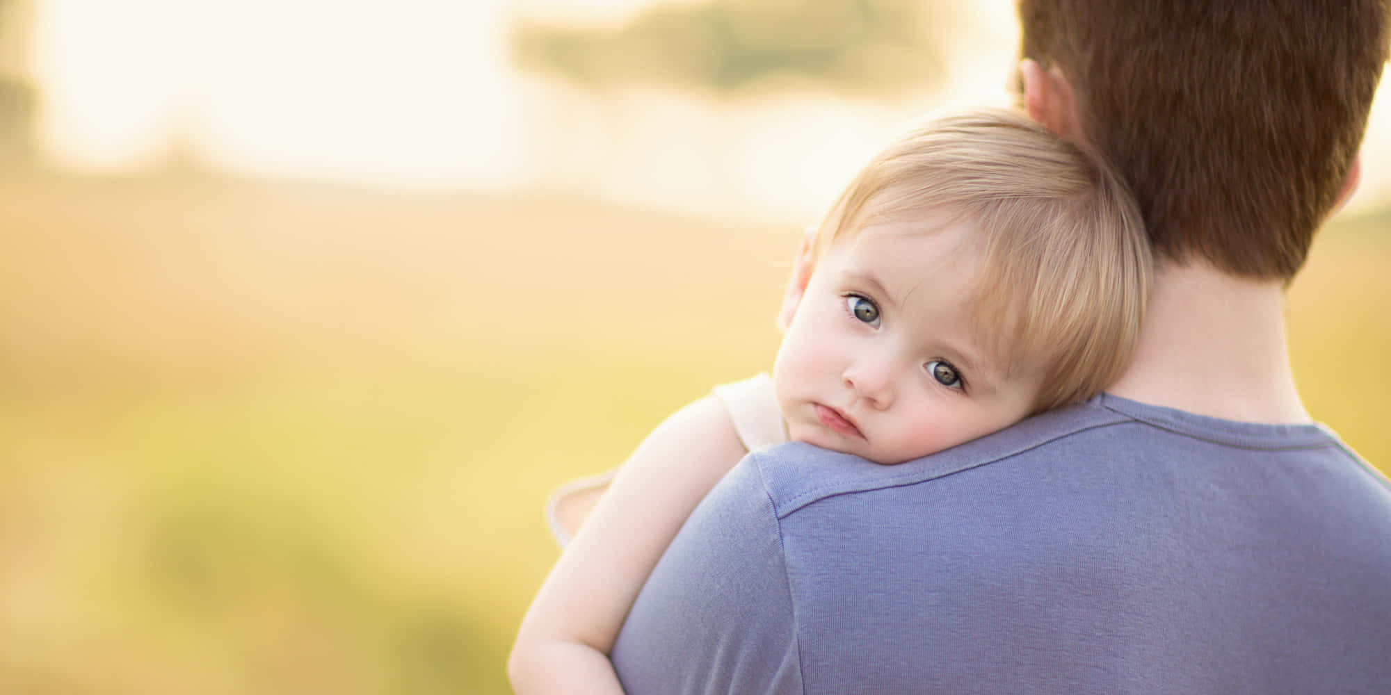 parenting 桌布 壁紙 — 一個金髮幼兒將頭靠在父親的肩膀上，在陽光明媚的田野中向前凝視。