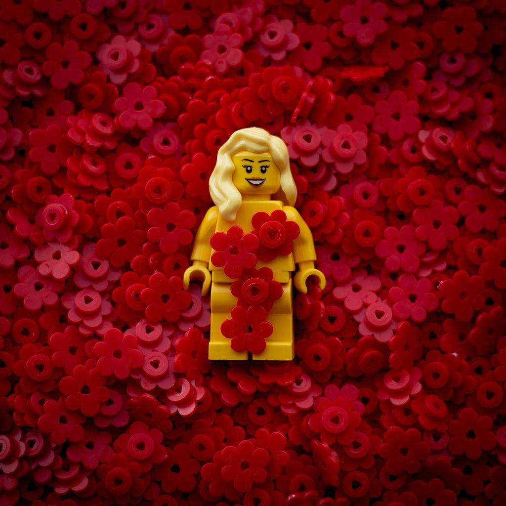 紅色動圖 桌布 壁紙 — 一個金髮的黃色LEGO迷你人偶在紅色和粉紅色花朵形狀亮片的海中微笑站立。