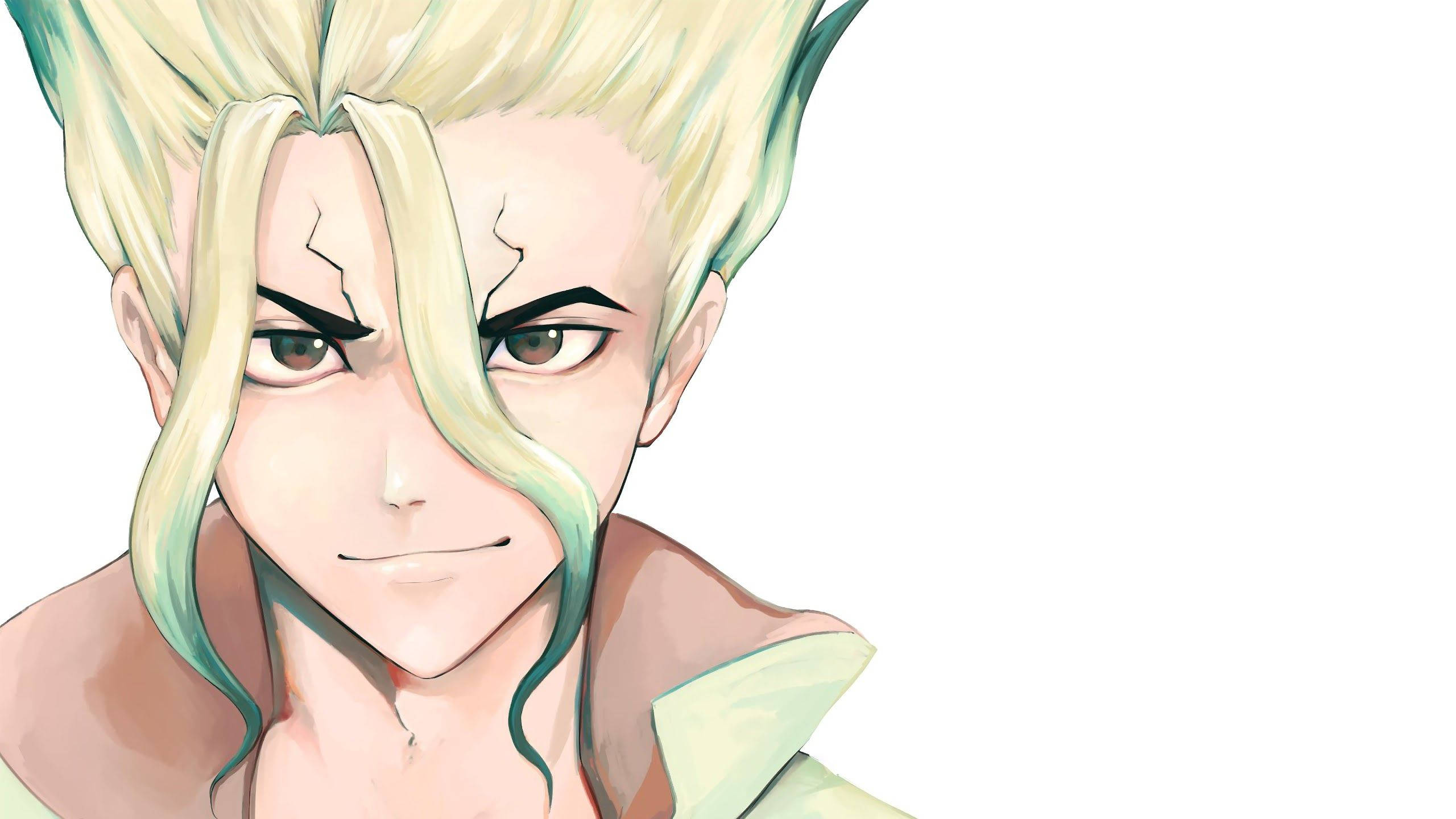 Dr Stone 桌布 壁紙 — 一個金髮角色帶有青綠色挑染、眼神銳利的動漫特寫肖像，背景為純白色。
