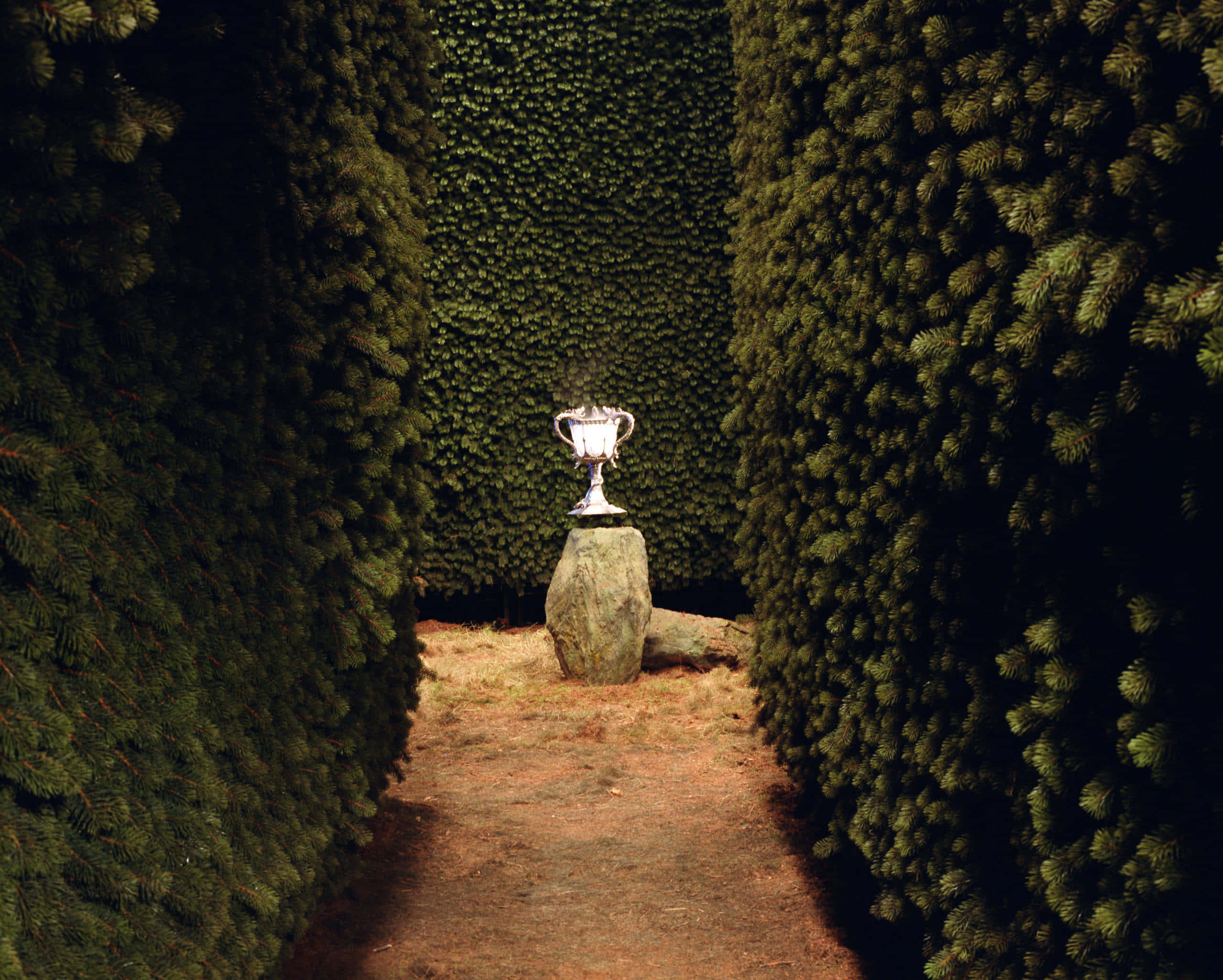 The Triwizard Cup 桌布 壁紙 — 一個銀色獎盃在狹窄小徑盡頭一塊長滿青苔的石頭上閃閃發光，小徑兩旁是高聳的常綠樹籬。
