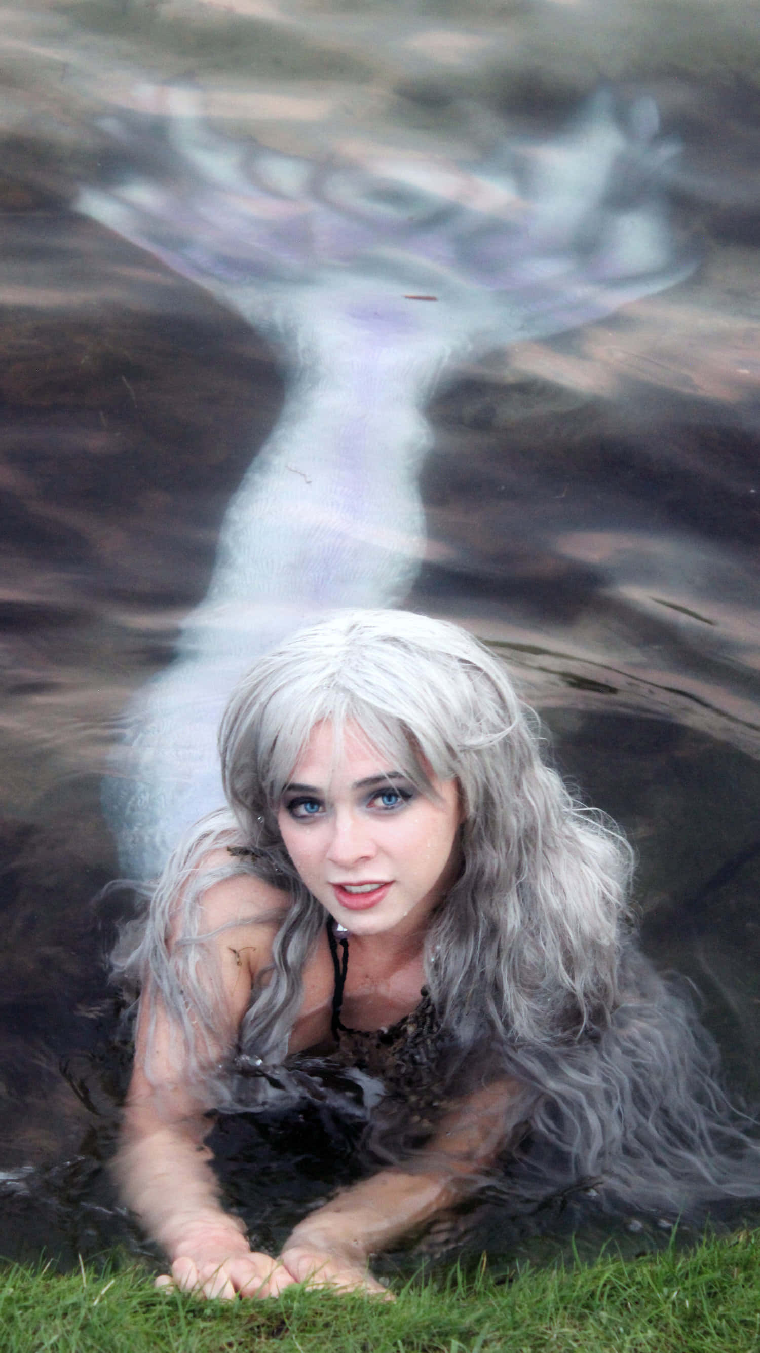 Real Mermaid 桌布 壁紙 — 一個銀色頭髮、擁有美人魚尾巴的人從暗水中浮現到草地上，直視鏡頭。