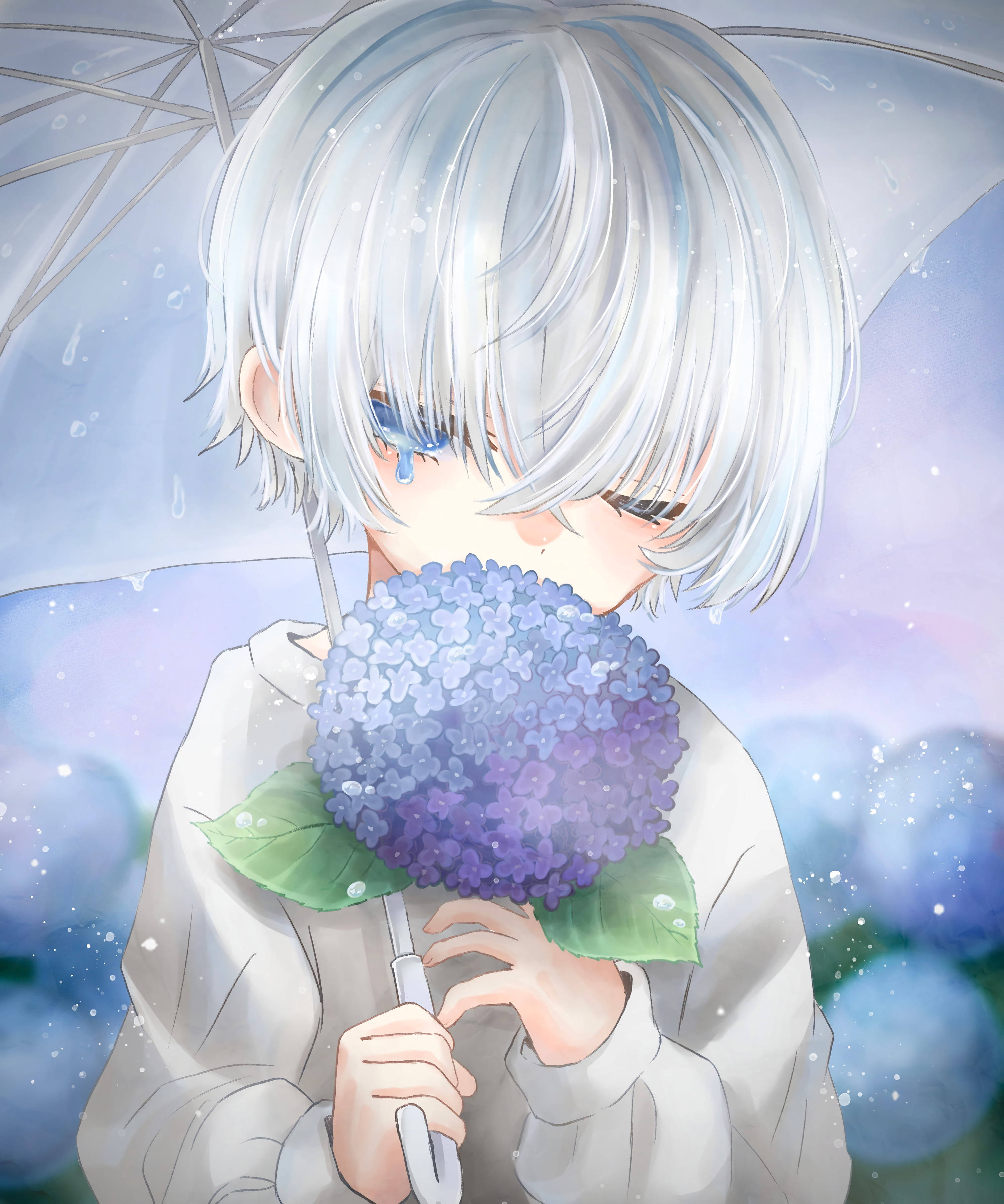 aesthetic sad anime girl 桌布 壁紙 — 一個銀髮動漫男孩，淚眼汪汪，在雨中夢幻的紫色迷霧中，拿著一朵藍色繡球花，撐著透明雨傘。