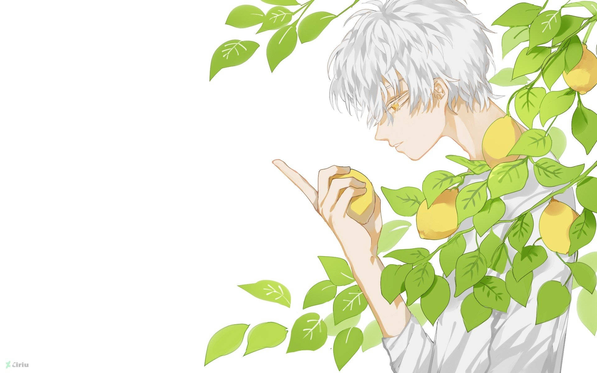 檸檬 桌布 壁紙 — 一個銀髮動漫男孩在潔白背景中，輕輕地拿著一個黃色水果，周圍是鮮綠的葉子。