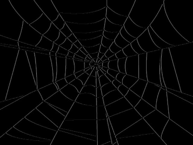 Spiderman Web 桌布 壁紙 — 一個銳利的白色蜘蛛網從中心點向四周輻射，以純黑色背景襯托，形成催眠般的幾何圖案。