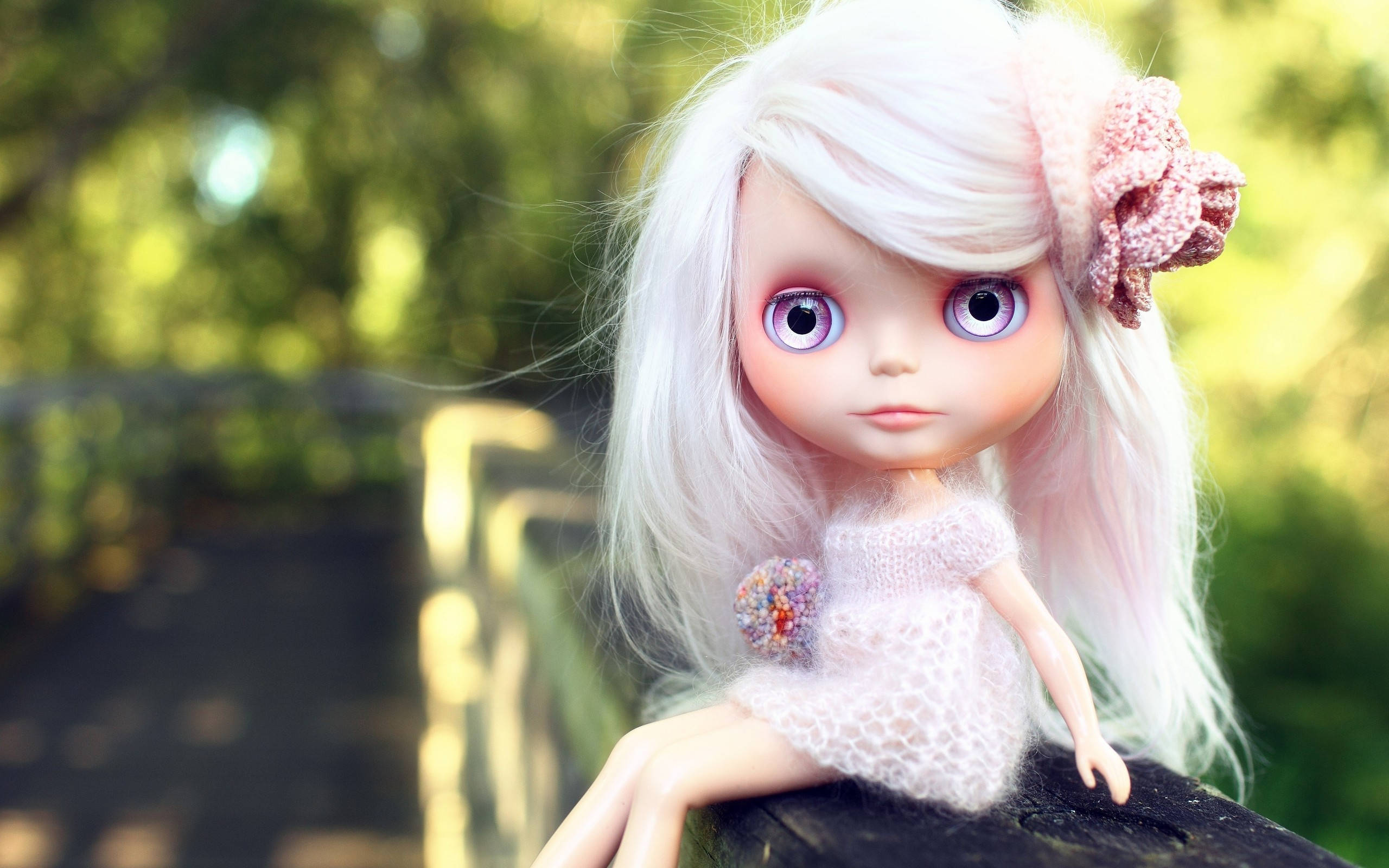 Doll 桌布 壁紙 — 一個長白髮紫眼的娃娃坐在陽光普照的花園的木柵欄上，背景是柔和的散景效果。