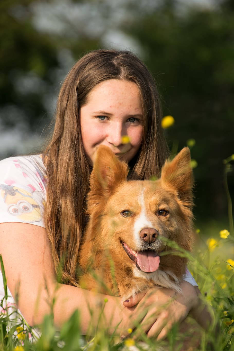 Dog And Girl 桌布 壁紙 — 一個長著棕色長髮的小女孩在陽光明媚的綠草和黃色野花田裡，溫暖地微笑著擁抱一隻快樂的紅棕色狗。
