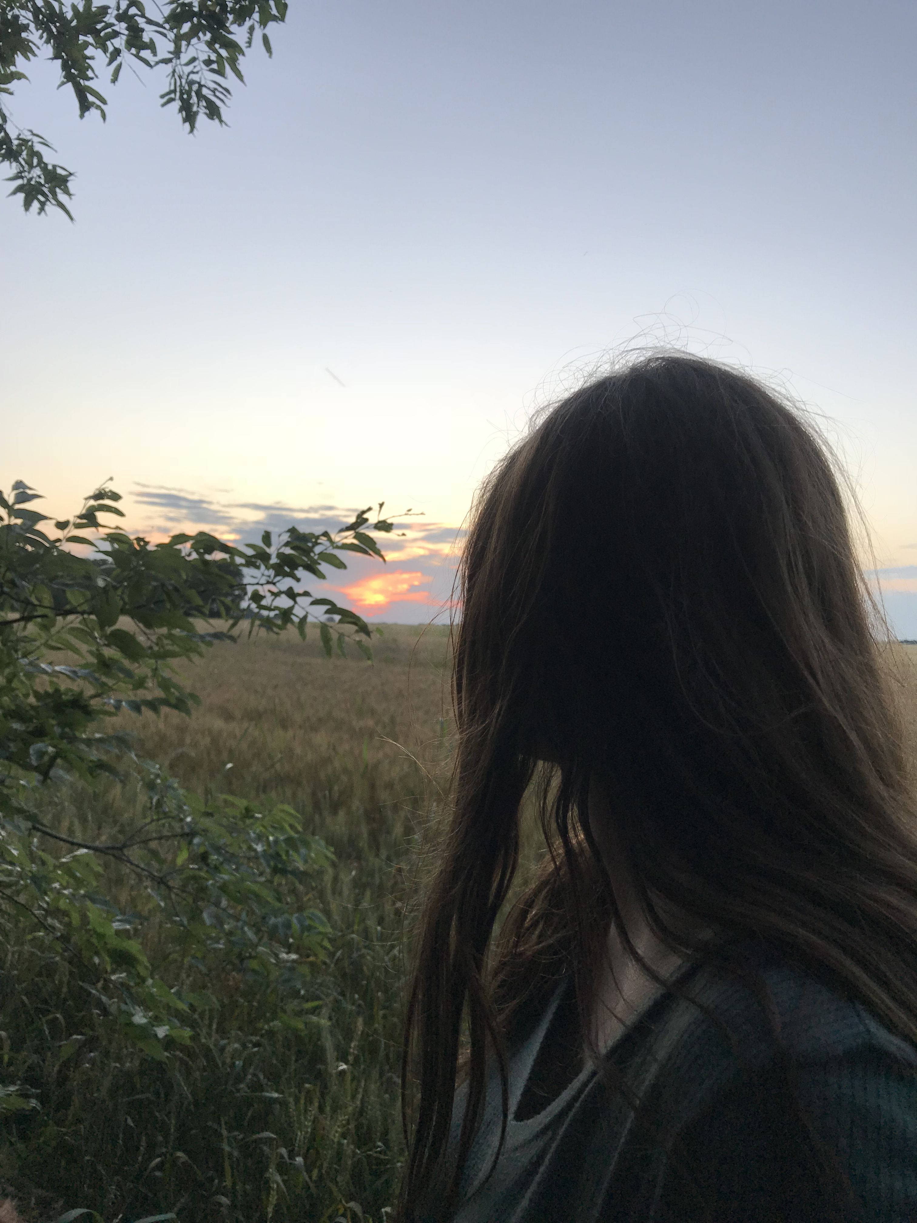 Teenage Girl 桌布 壁紙 — 一個長著深色長髮的人凝視著金色的麥田，夕陽在遠山後落下。