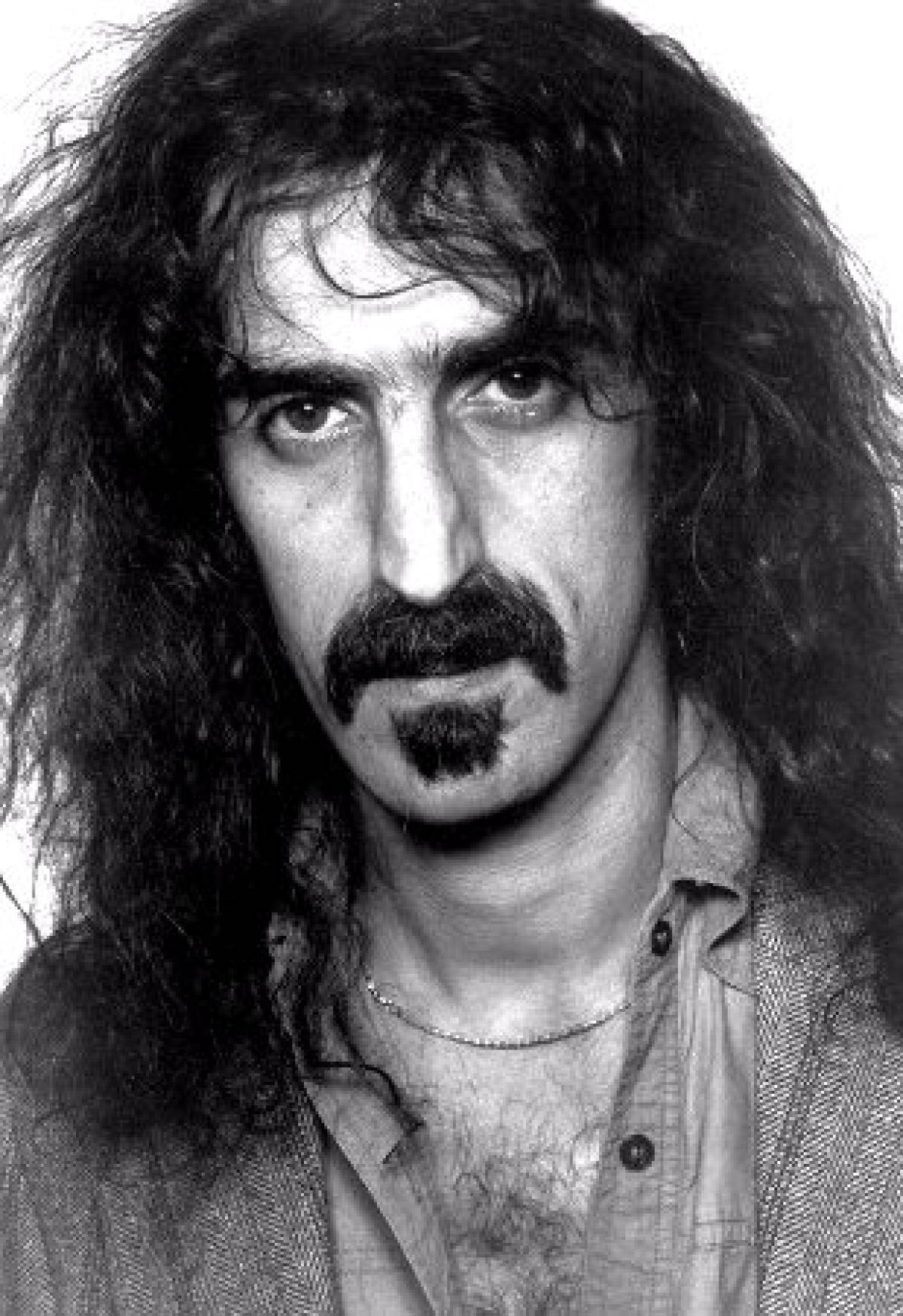 Zappa 桌布 壁紙 — 一個長著長波浪頭髮和濃密鬍鬚的男人，凝視著鏡頭的黑白肖像。