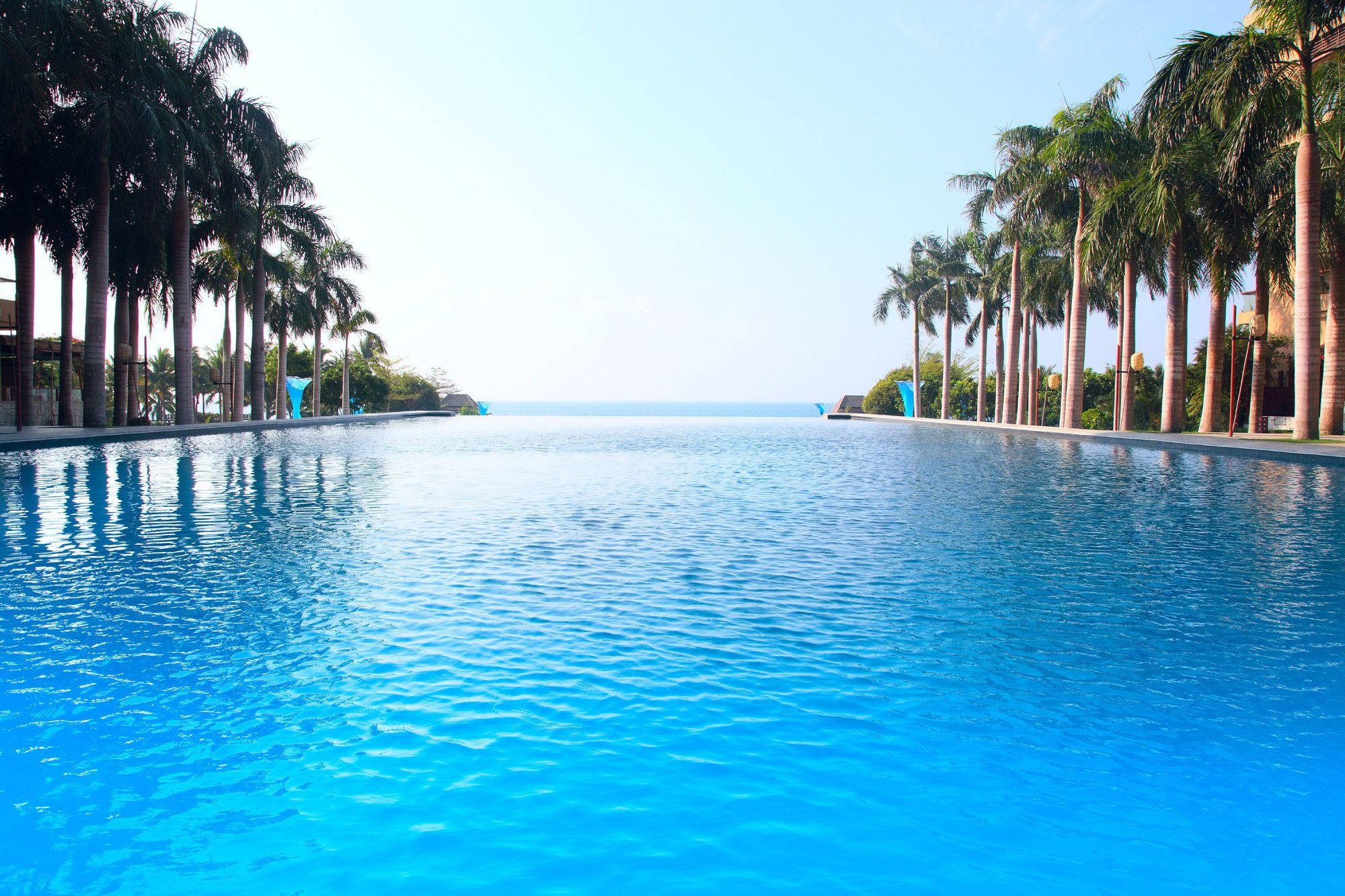 Swimming 桌布 壁紙 — 一個長長的無邊際泳池，水晶般清澈的藍色海水向地平線延伸，兩旁是高高的棕櫚樹，天空晴朗。