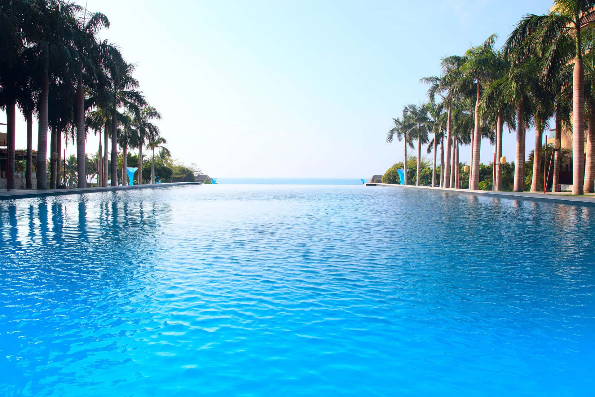 Vacation 桌布 壁紙 — 一個長長的無邊際泳池，水晶般清澈的藍色海水在晴朗的天空下，兩旁種滿高大的棕櫚樹，一直延伸至地平線。