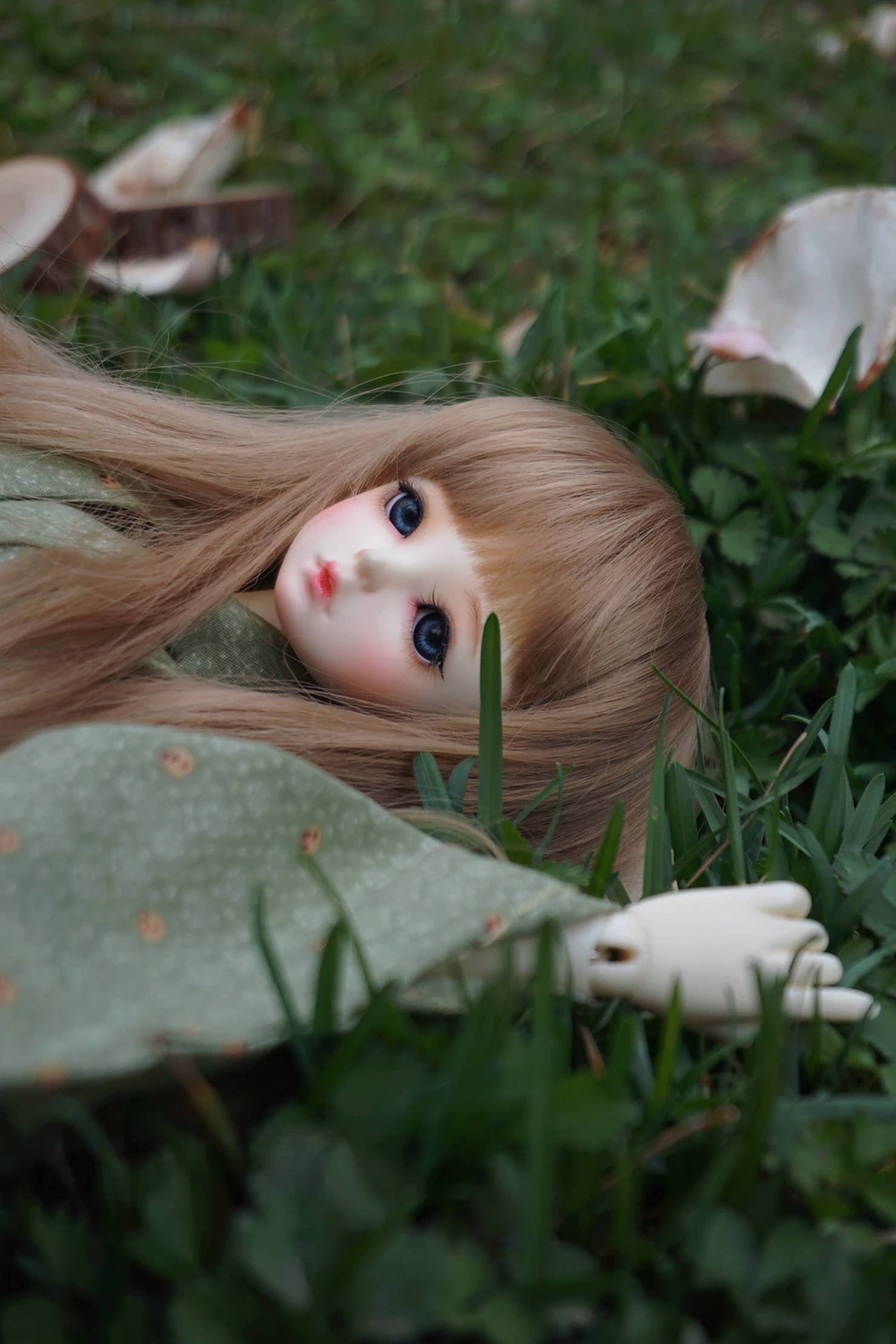 Doll 桌布 壁紙 — 一個長長金髮的瓷娃娃平靜地躺在草地上，周圍散落著花瓣。