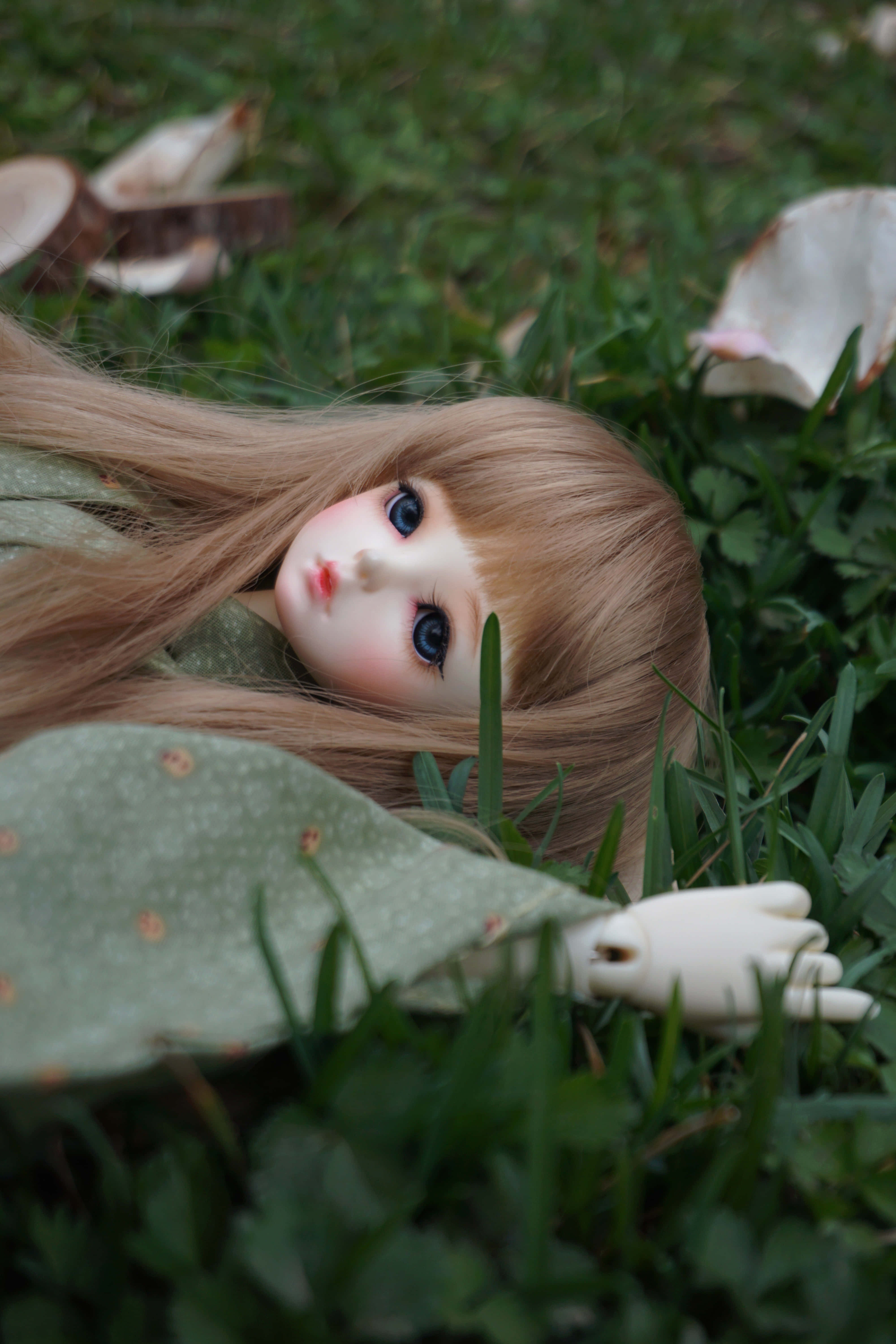 Dolls 桌布 壁紙 — 一個長長金髮藍眼的娃娃，安詳地躺在綠色草地上，周圍是掉落的花瓣。