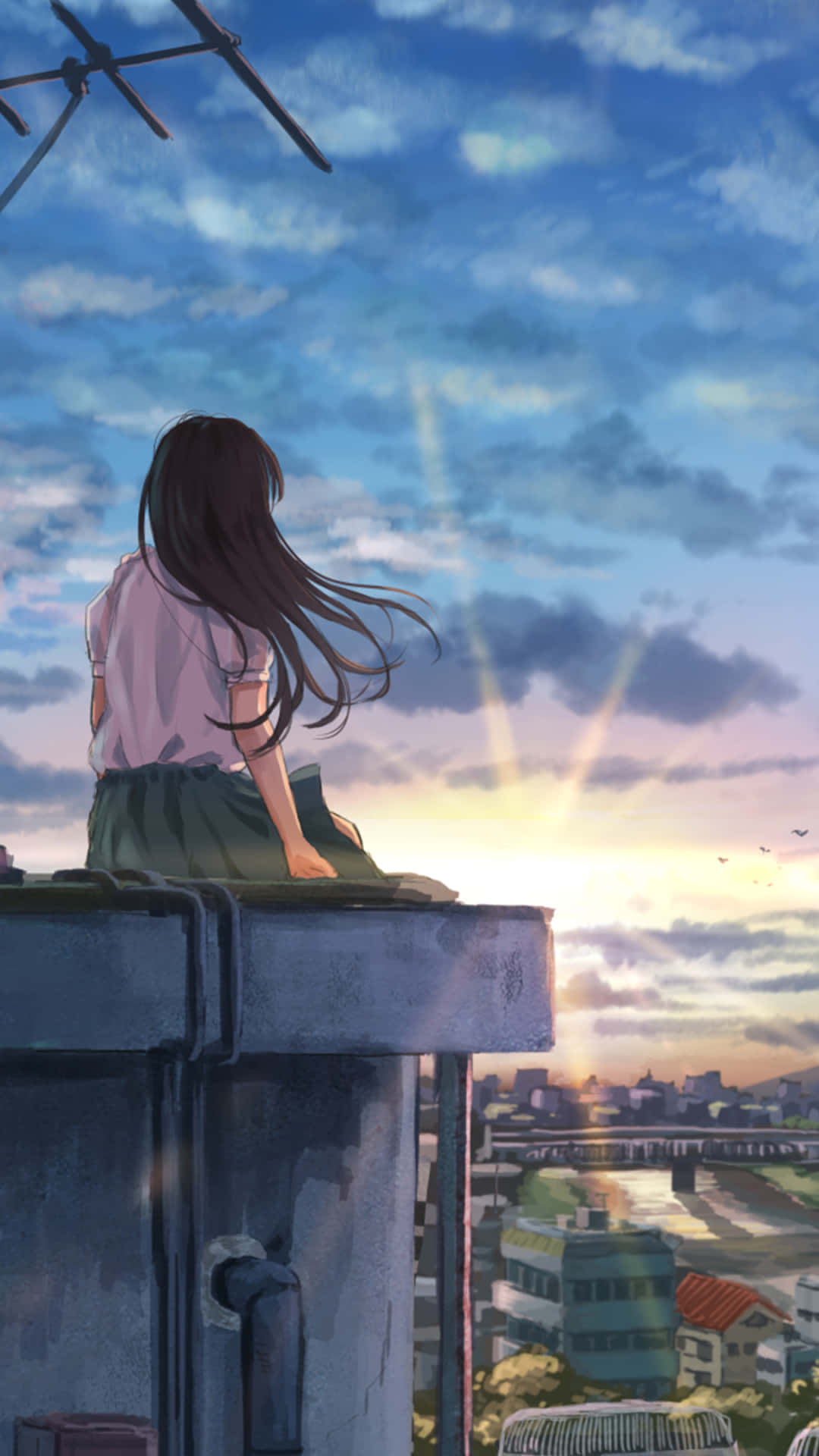 Animated 桌布 壁紙 — 一個長黑髮的女孩坐在屋頂上，俯瞰城市景觀，夕陽在雲層後落下。