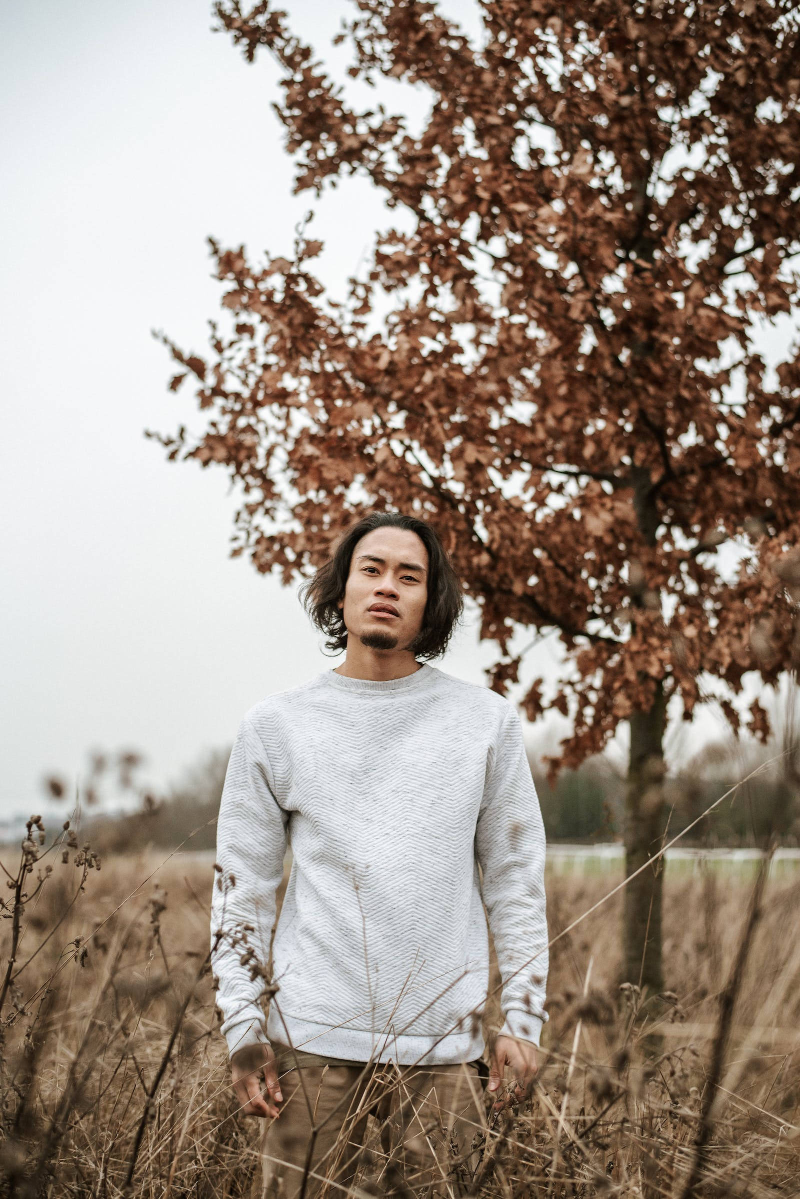 Cool Sad 桌布 壁紙 — 一個長黑髮的年輕男子平靜地站在一片乾草田野中，樹下有棕色的秋葉。