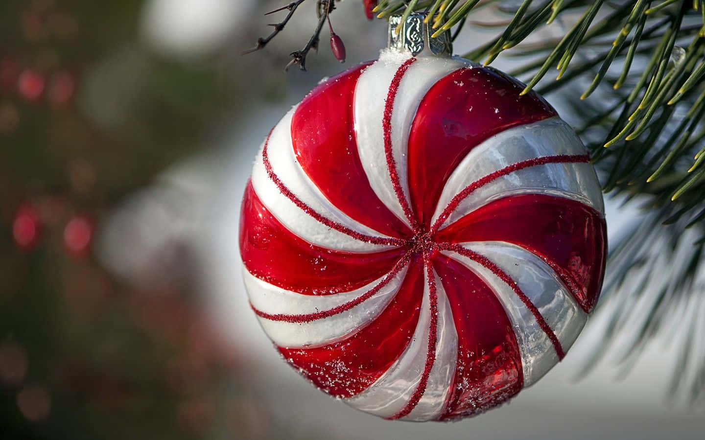 Christmas Ornament 桌布 壁紙 — 一個閃亮的紅白拐杖糖裝飾品掛在灑滿雪的松樹枝上。