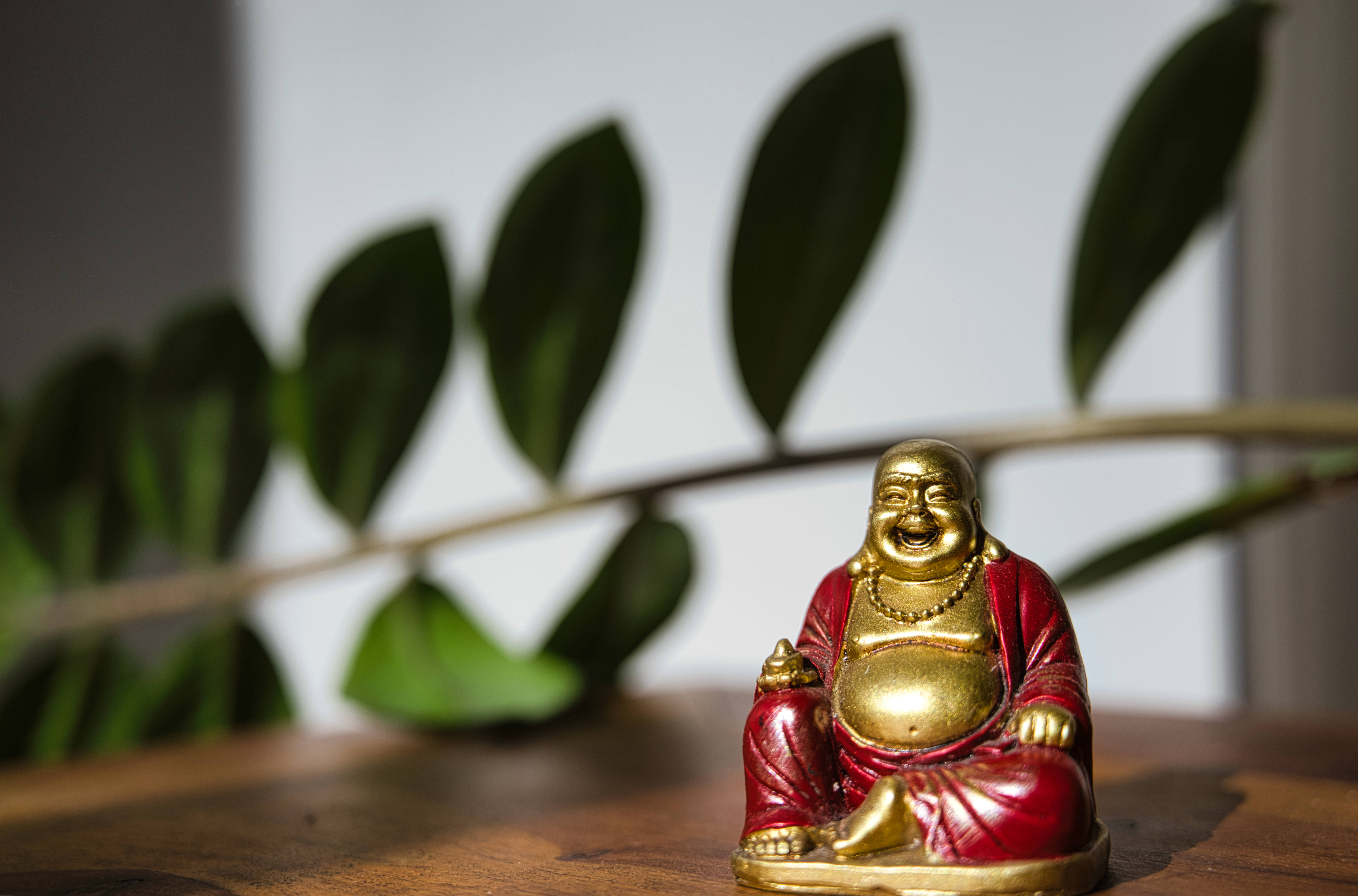 佛陀 桌布 壁紙 — 一個閃亮的紅色和金色笑佛雕像放在木質表面上，背景有模糊的綠葉。