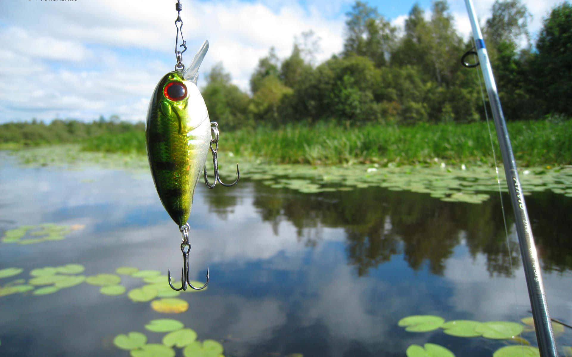 Fishing Bait 桌布 壁紙 — 一個閃亮的綠色魚餌懸掛在一個平靜的池塘上方，池塘點綴著睡蓮，背景是明亮的藍天。