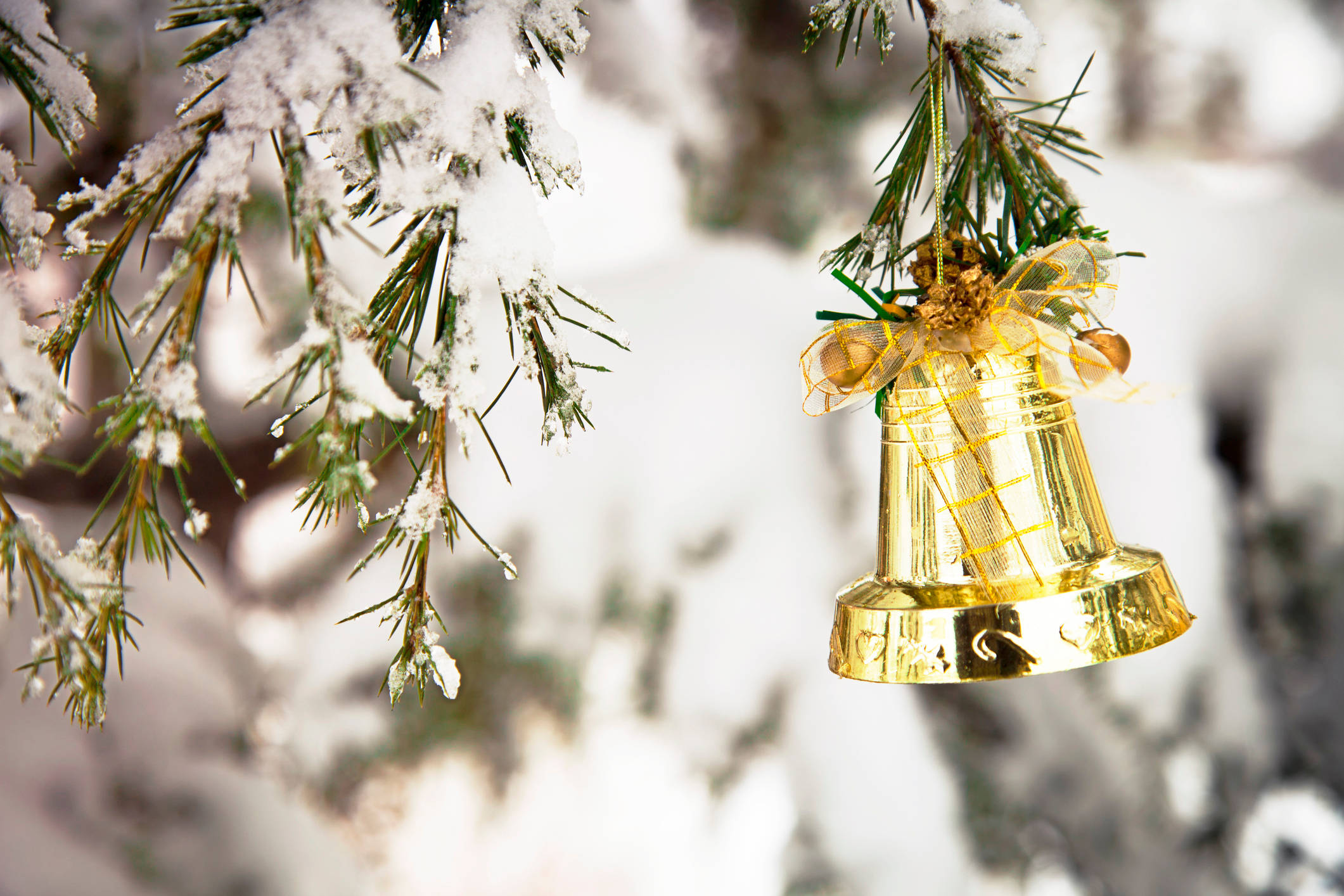 Christmas Bell 桌布 壁紙 — 一個閃亮的金色聖誕鈴鐺掛在灑滿雪的松樹枝上，背景是柔和的冬日景色。