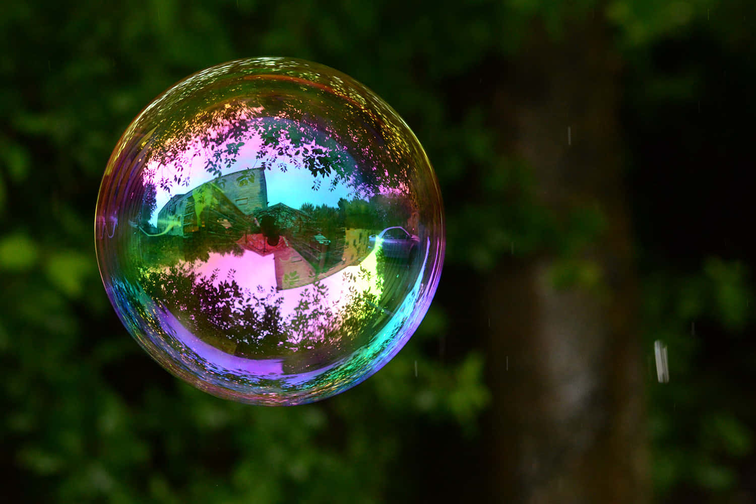 Bubble 桌布 壁紙 — 一個閃爍的彩虹色肥皂泡在雨滴斑駁的森林中漂浮，反射出一個色彩繽紛的扭曲世界。