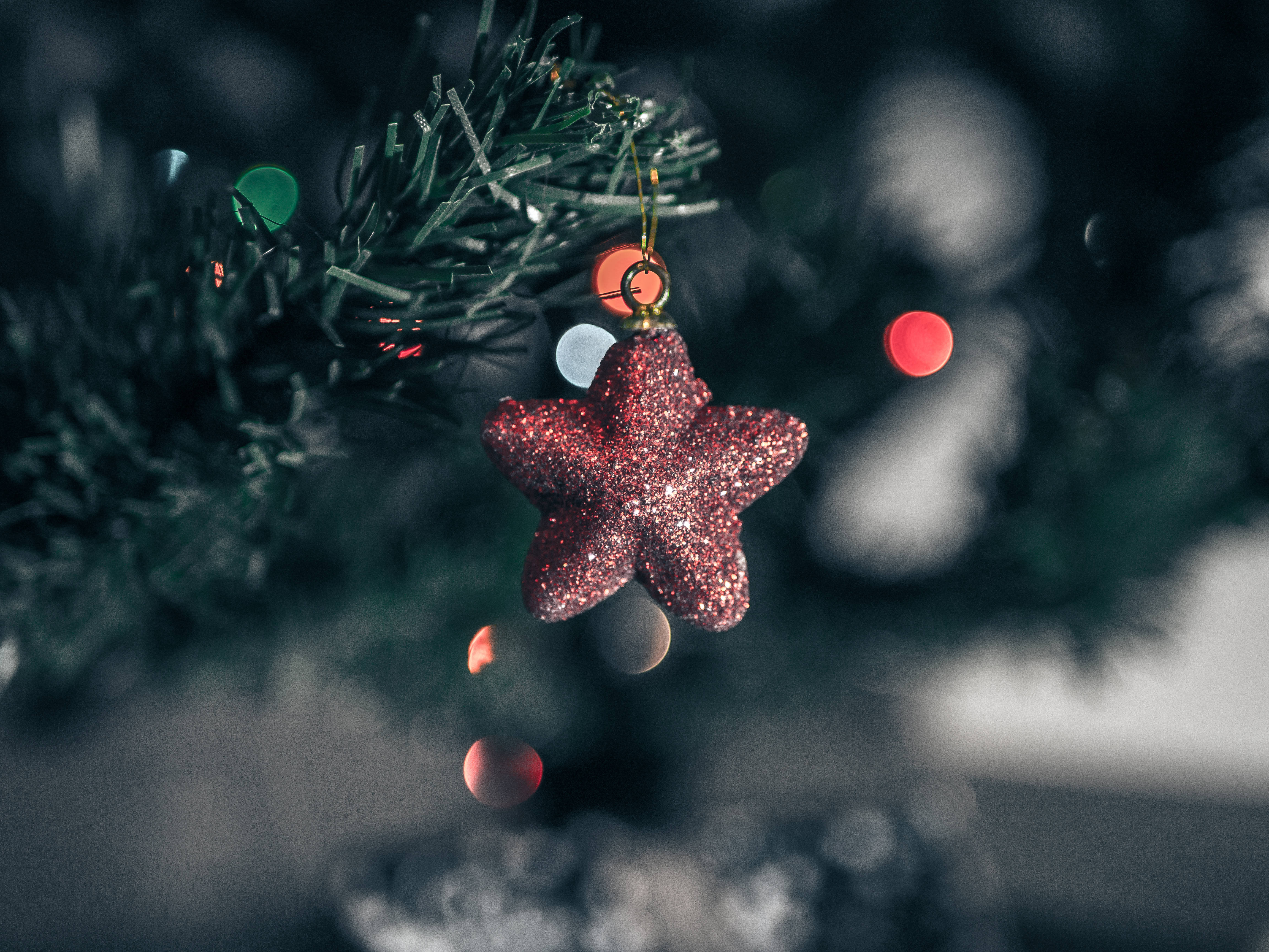 Stars 桌布 壁紙 — 一個閃閃發光的紅色星星裝飾品掛在松樹枝上，背景有柔和的散景燈光。