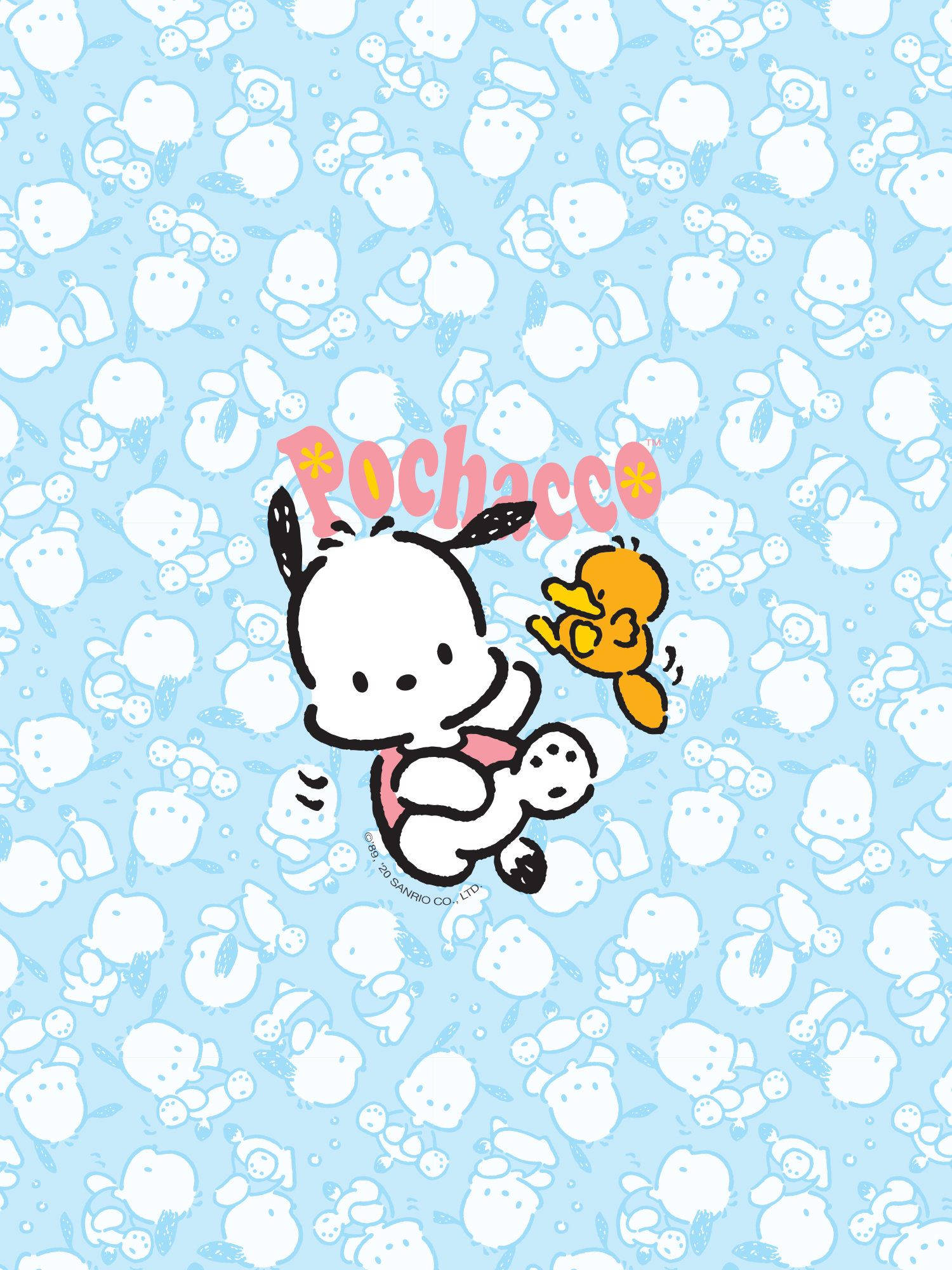Pochacco 桌布 壁紙 — 一個開心的Pochacco卡通角色抱著一隻白色小狗，同時一隻黃色小鳥在他們旁邊飛翔，背景是淺藍色，充滿重複的白色Pochacco剪影。