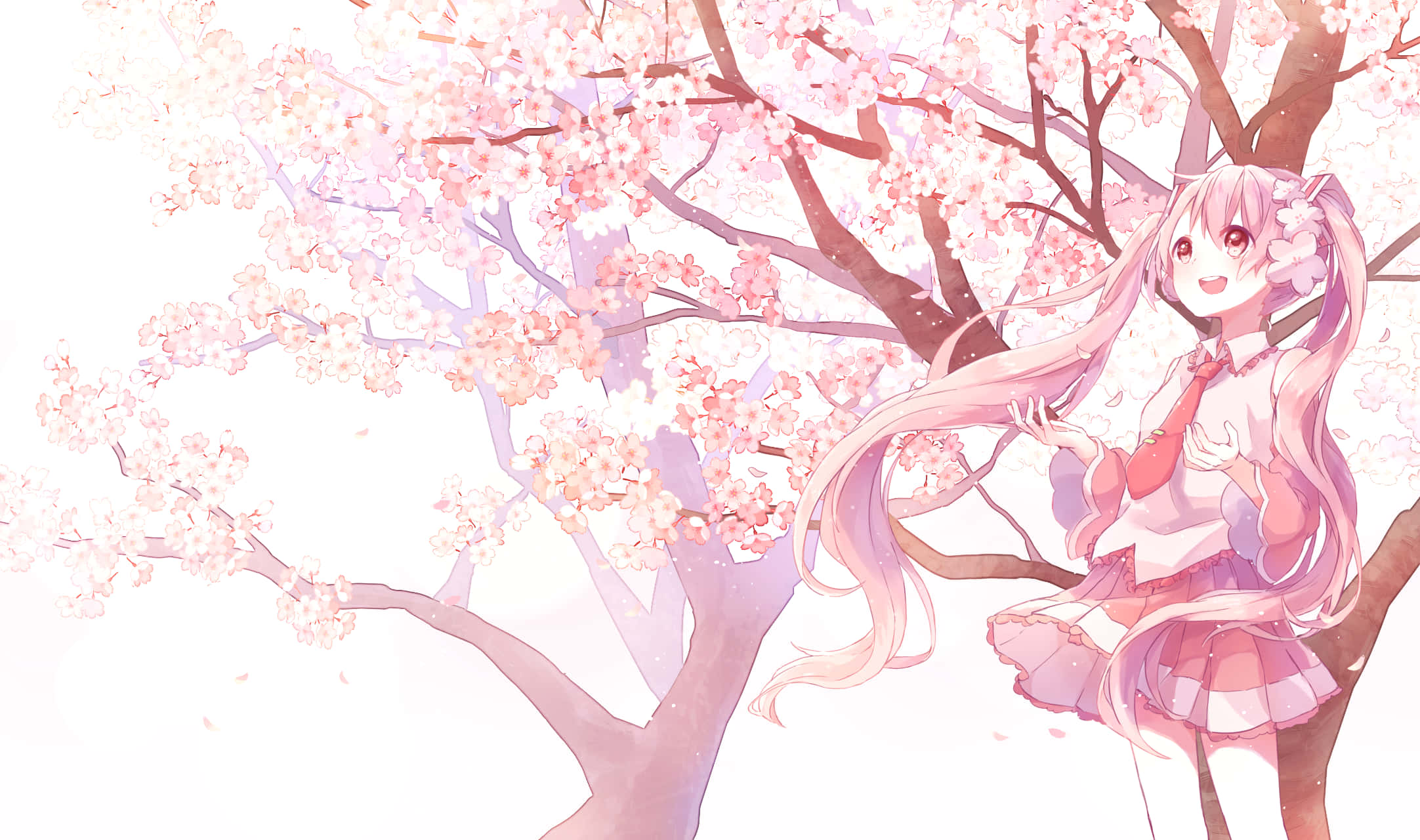 櫻花 桌布 壁紙 — 一個開心的動漫女孩，長長的粉紅色頭髮，站在一棵開滿柔軟粉紅色花朵的櫻花樹下。