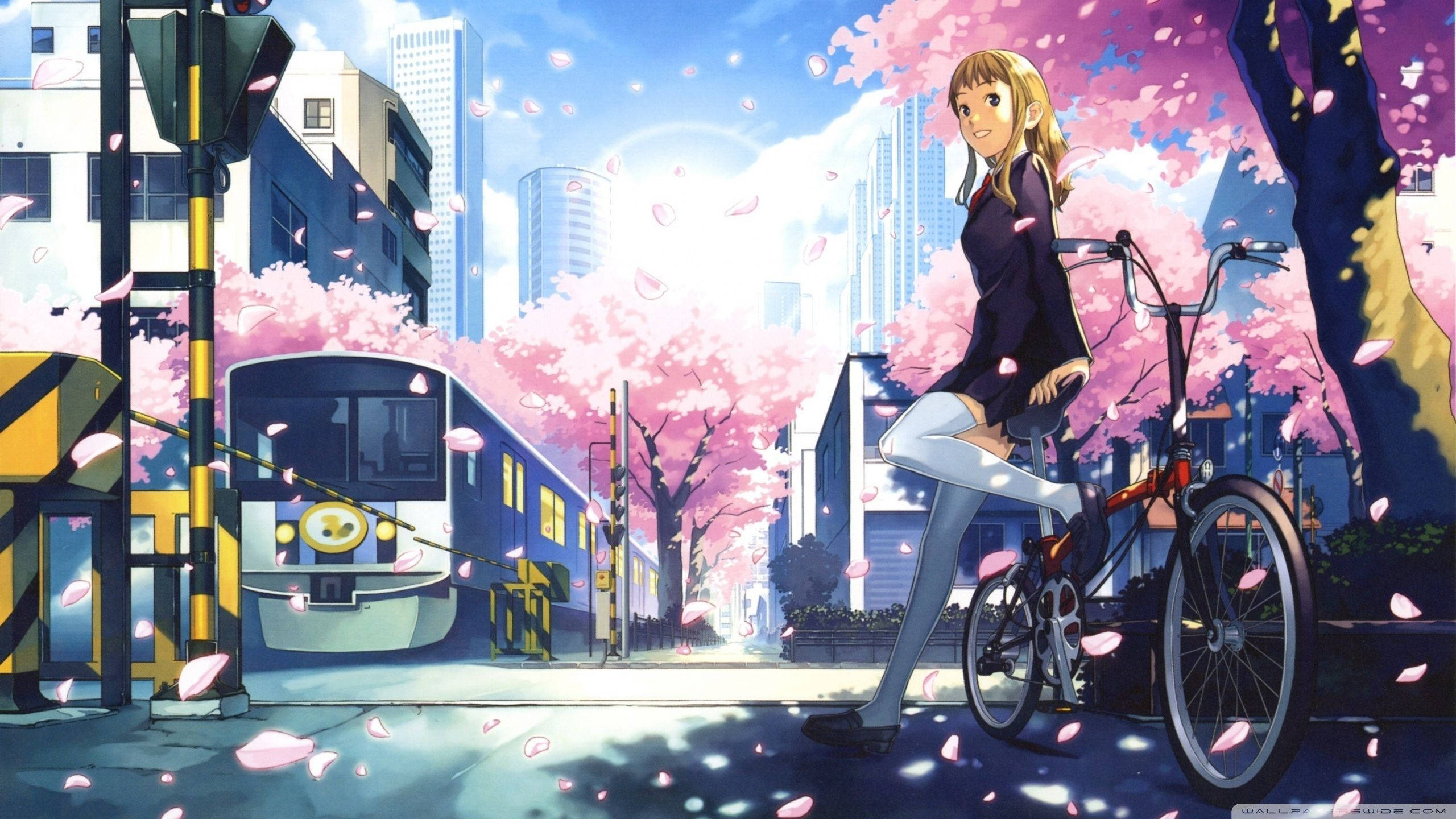 動漫城市 桌布 壁紙 — 一個開心的動畫女孩騎著腳踏車，在櫻花飄過行駛中的火車旁停下來，構成充滿活力的城市春日場景。