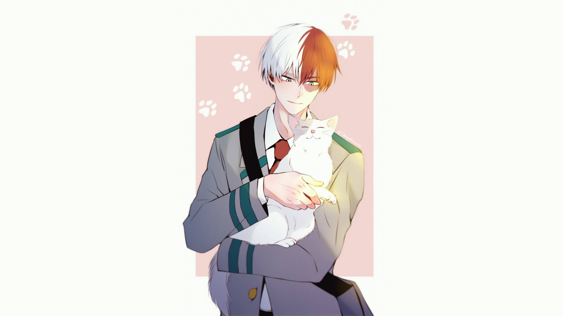 todoroki family 桌布 壁紙 — 一個開心的動畫男孩，白色和橙色頭髮，抱著一隻白貓，背景是柔和的粉紅色，帶有爪印。