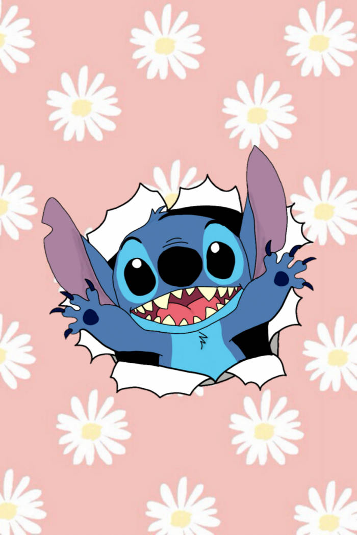kawaii stitch 桌布 壁紙 — 一個開心的藍色外星人，有大眼睛和尖牙齒，在一個佈滿白色雛菊的撕破粉紅色紙背景中探頭出來。