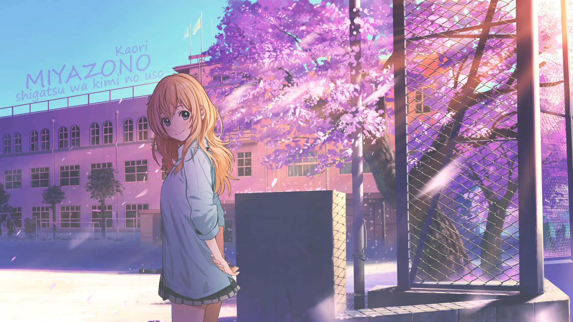 Your Lie In April 桌布 壁紙 — 一個開心的金髮動漫女孩站在盛開的粉紅色櫻花樹下，旁邊是學校圍欄，在明媚的春日裡。
