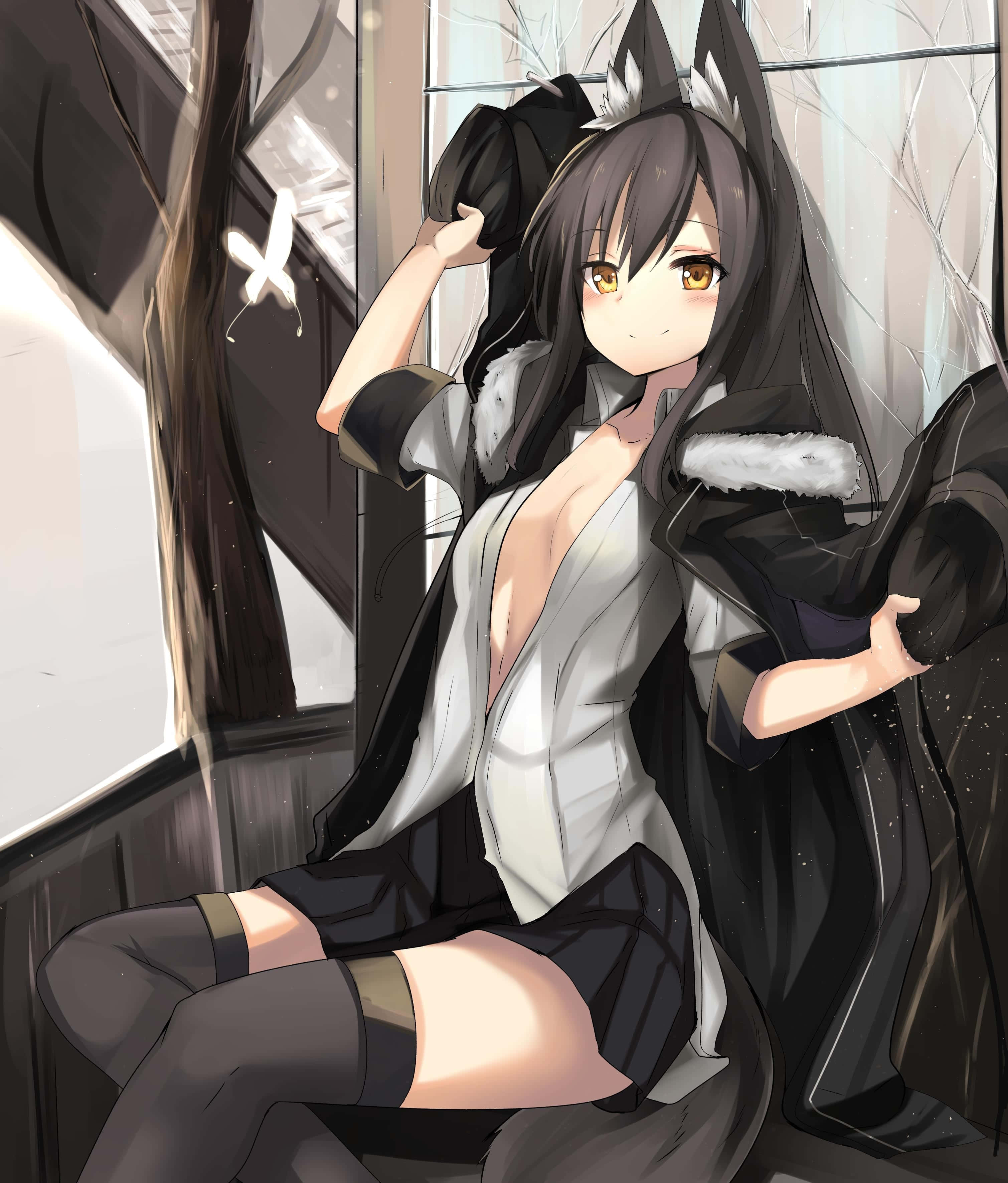 動漫 桌布 壁紙 — 一個開朗的動漫女孩，長著狼耳朵，穿著黑色外套，坐在窗邊，手裡拿著帽子，在舒適的室內環境中。