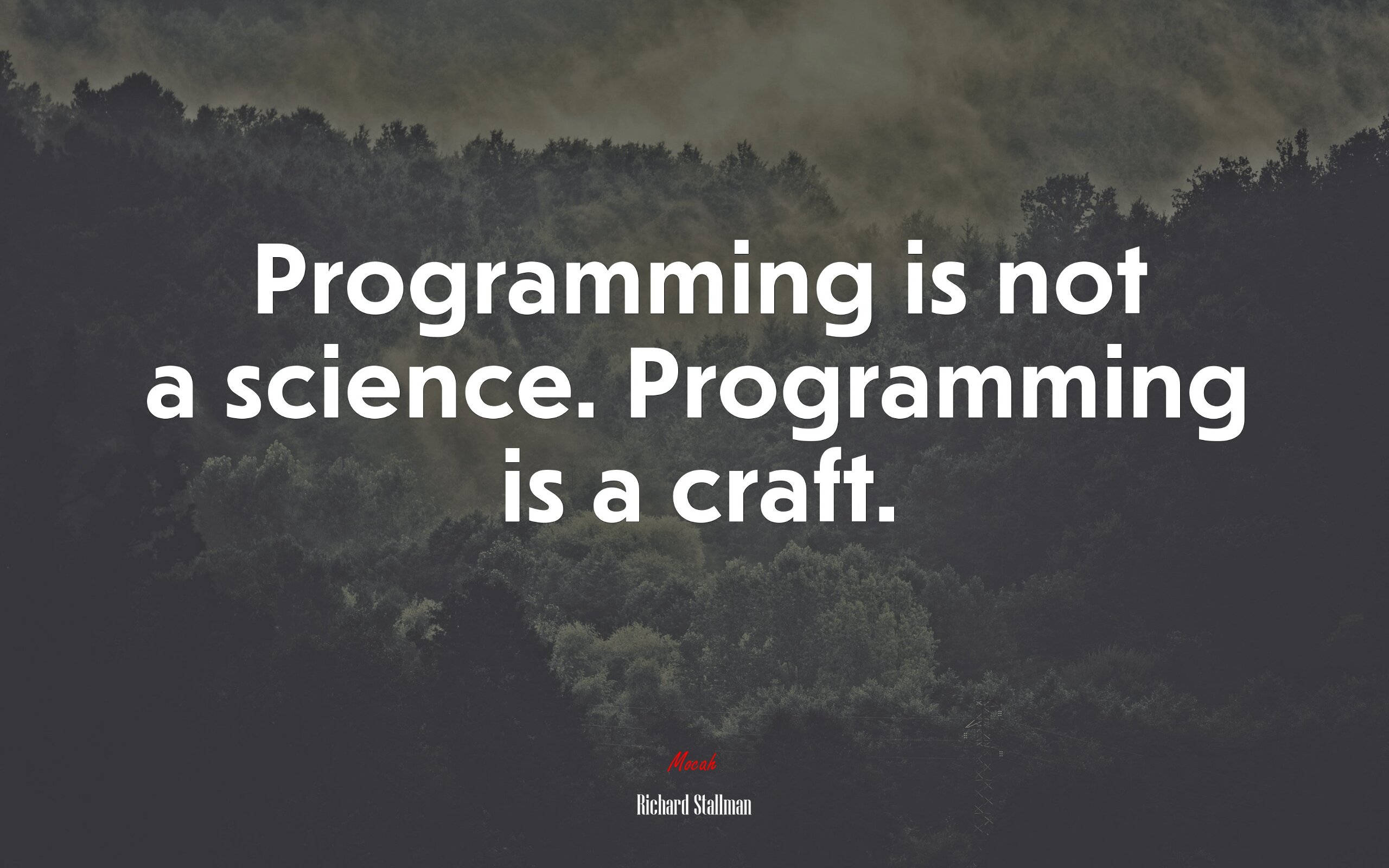 程式設計 桌布 壁紙 — 一個陰暗的森林山坡，上方有霧雲，以粗體白色文字顯示引用「programming is not a science programming is a craft」。