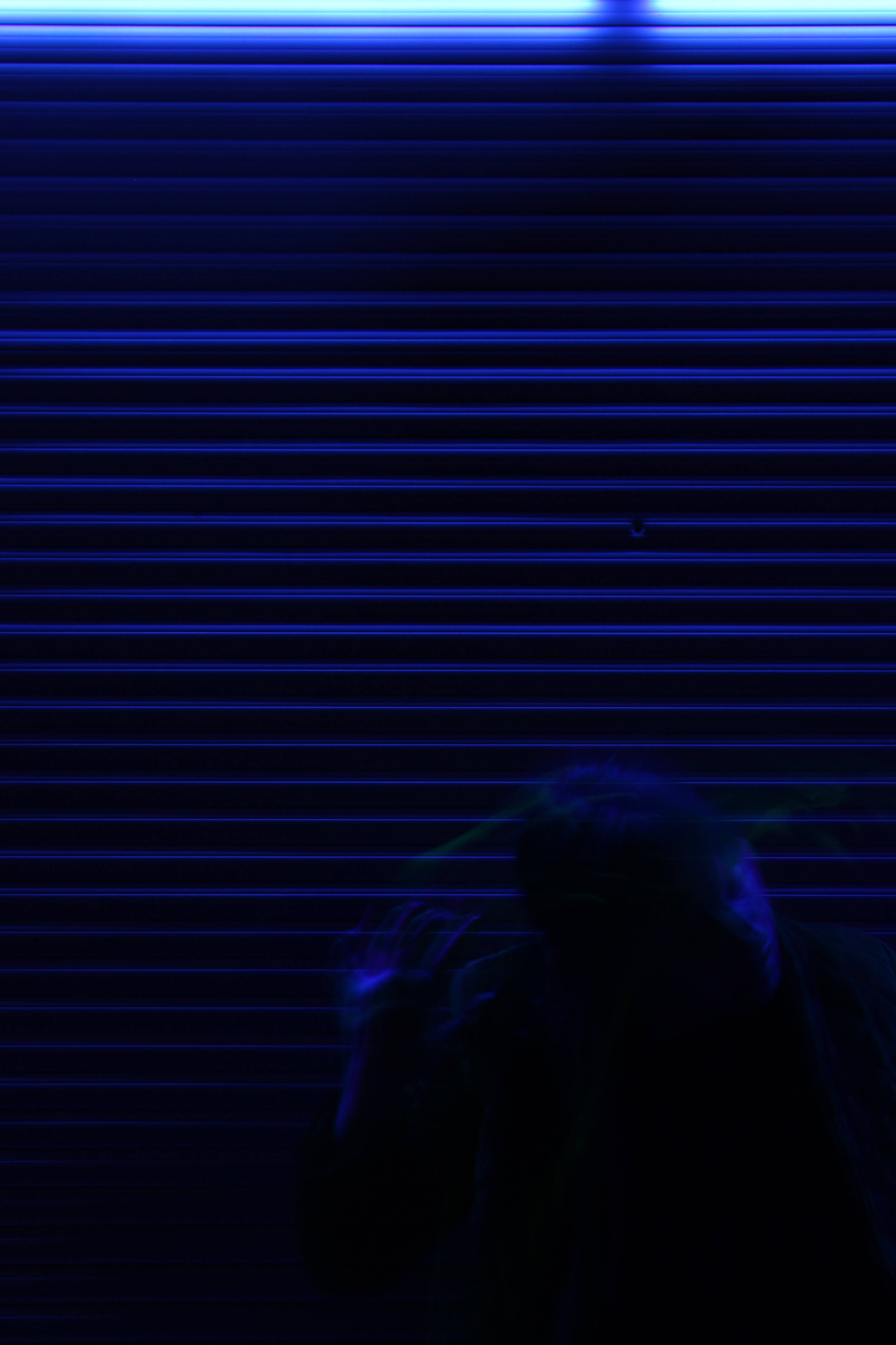 詭異的GIF 桌布 壁紙 — 一個陰暗的身影站在霓虹燈下發光的藍色金屬百葉窗前。