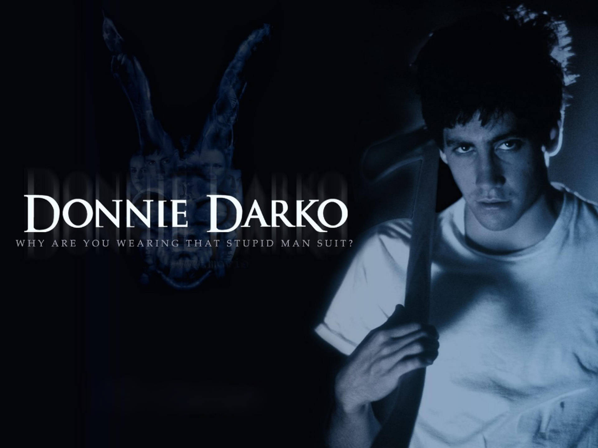 Darko 桌布 壁紙 — 一個陰鬱藍調的肖像，一個年輕男子手持棒球棍，身後有一個幽靈般的兔頭若隱若現。