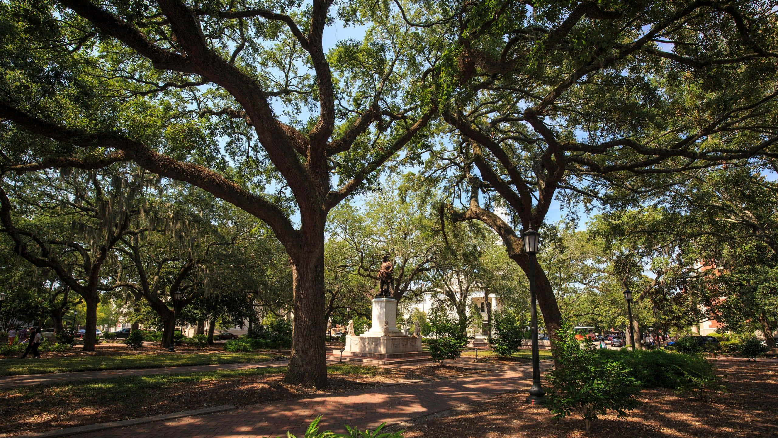 Savannah 桌布 壁紙 — 一個陽光斑駁的公園，巨大的橡樹上掛滿了西班牙苔蘚，中央有一座雕像，在明亮的藍天下。