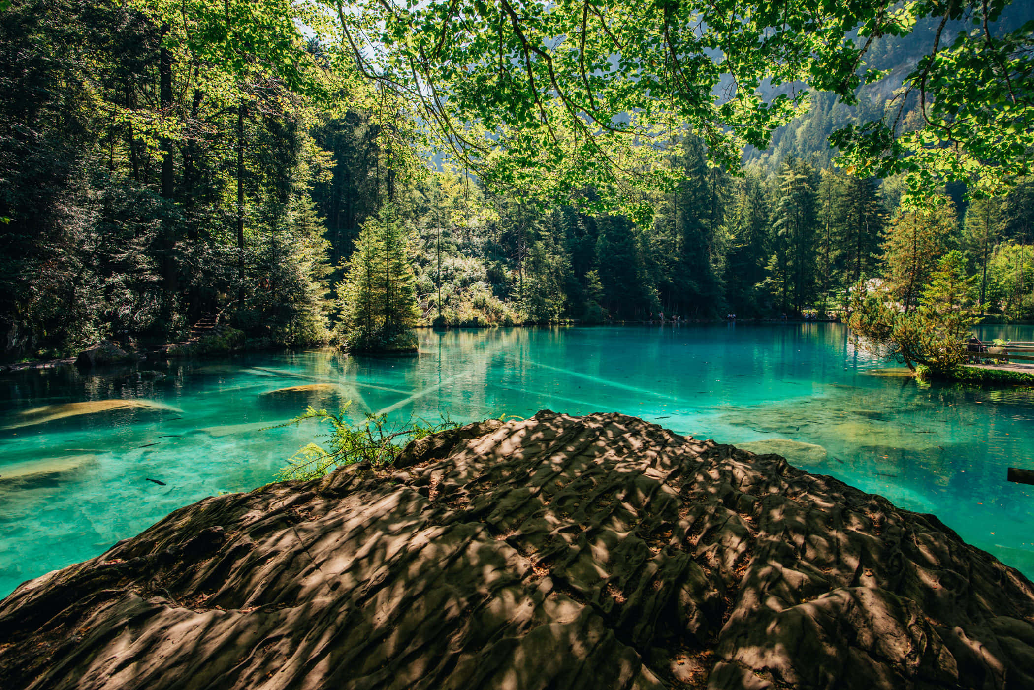 Beautiful Mountain Lake 桌布 壁紙 — 一個陽光斑駁的綠松石湖，坐落在茂密的綠色森林中，前景有一塊紋理岩石。
