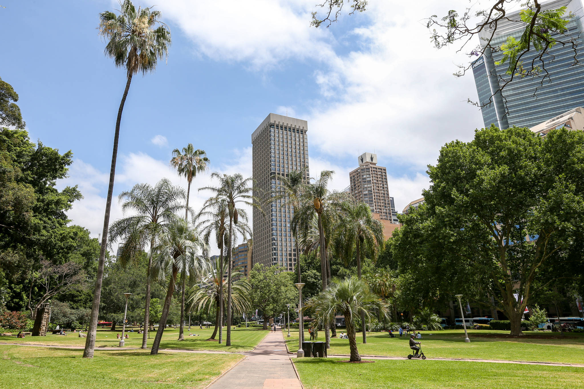 Sydney 桌布 壁紙 — 一個陽光明媚的城市公園，棕櫚樹和綠色草坪被高聳的現代摩天大樓環繞，天空湛藍，雲朵稀疏。