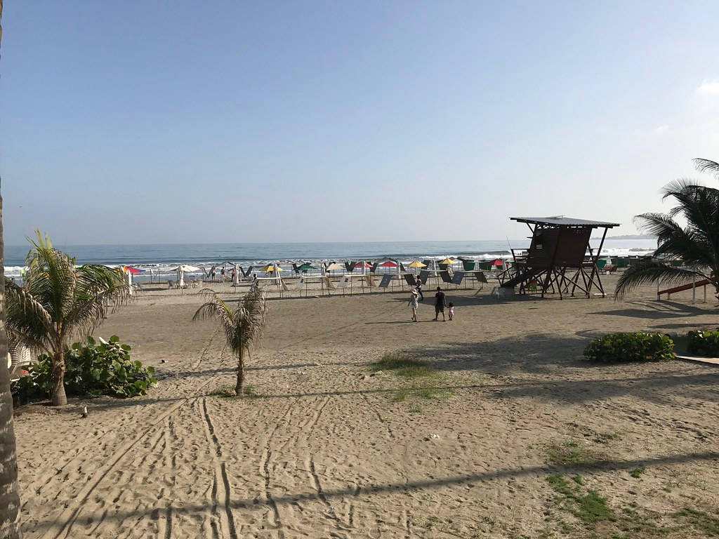 哥倫比亞 桌布 壁紙 — 一個陽光明媚的海灘場景，有棕櫚樹、沙灘椅和救生員瞭望塔，天空清澈湛藍。