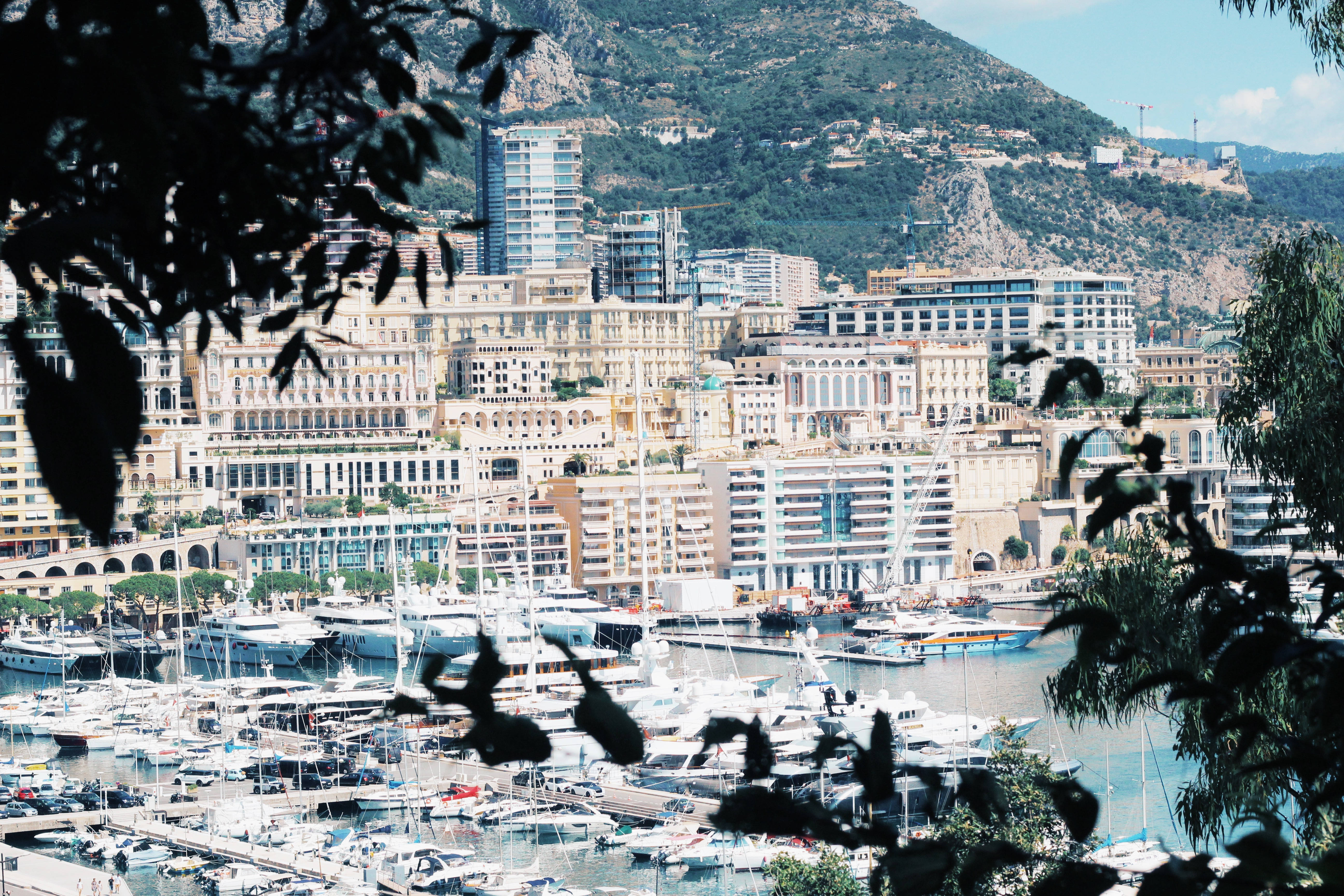 Monaco 桌布 壁紙 — 一個陽光明媚的港口，停滿了豪華遊艇，坐落在鬱鬱蔥蔥的山丘和宏偉建築之間，以樹木剪影為框。