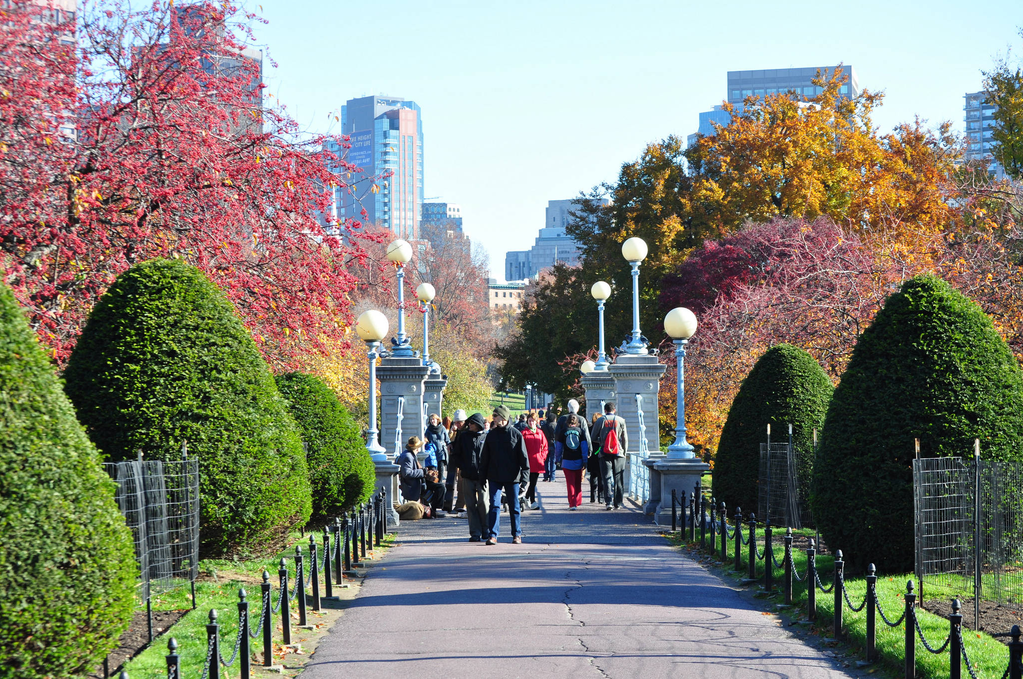 Boston 桌布 壁紙 — 一個陽光明媚的秋日，在城市公園裡，人們沿著兩旁種滿樹木的小徑漫步，小徑兩側是修剪整齊的樹籬和色彩繽紛的樹葉。