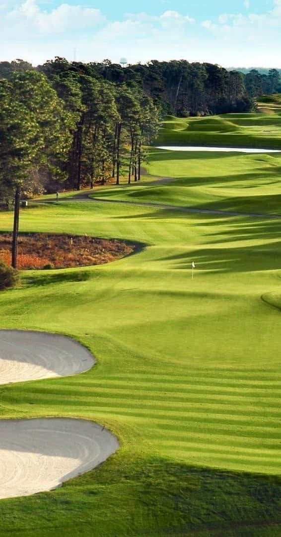 Pixel 3 Golf Course 桌布 壁紙 — 一個陽光明媚的高爾夫球場，有充滿活力的綠色球道、沙坑和高大的松樹，在藍天白雲下。