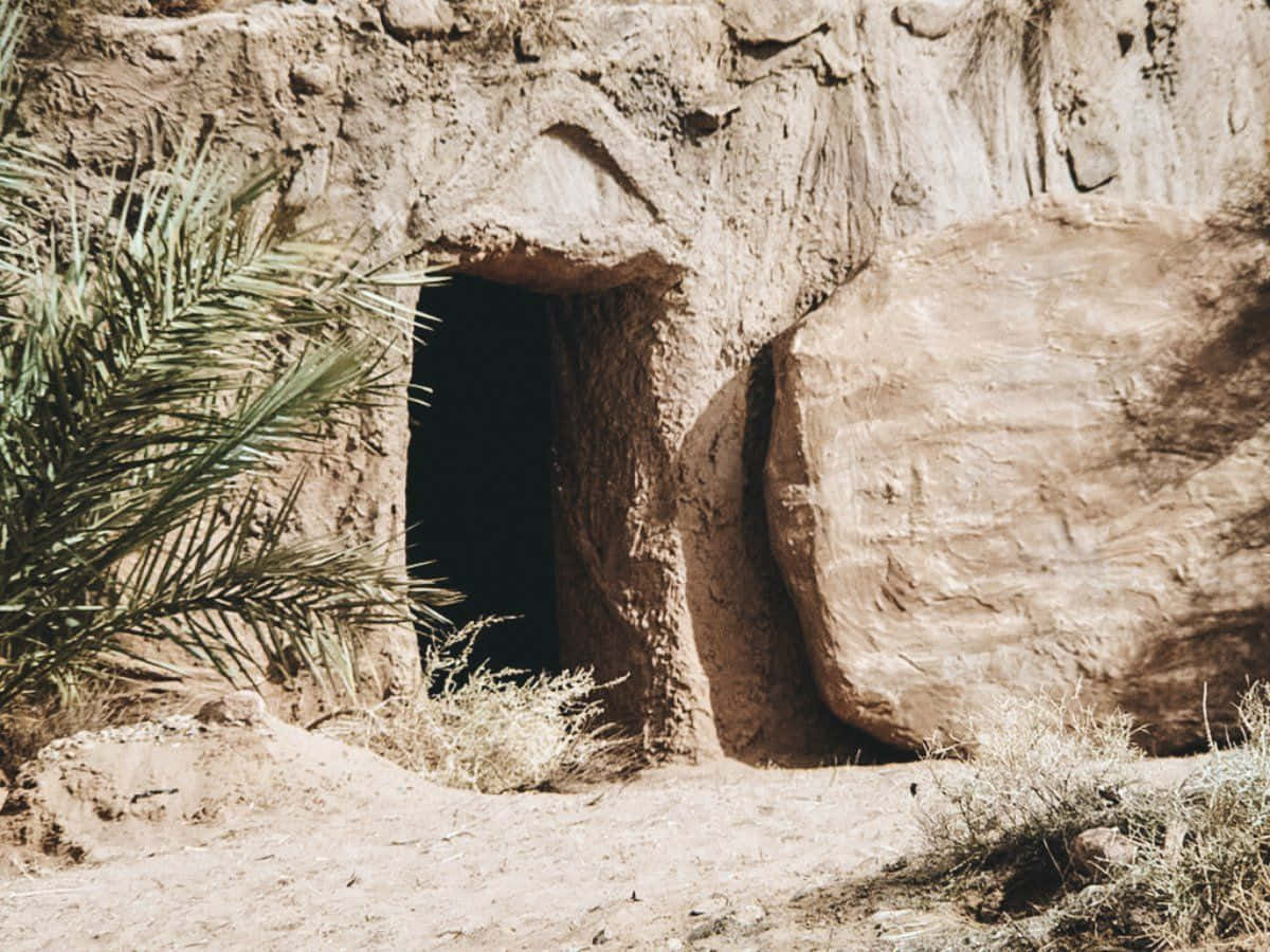 Empty Tomb 桌布 壁紙 — 一個陽光普照的沙漠洞穴入口，雕刻在沙岩中，附近有棕櫚葉投下陰影。