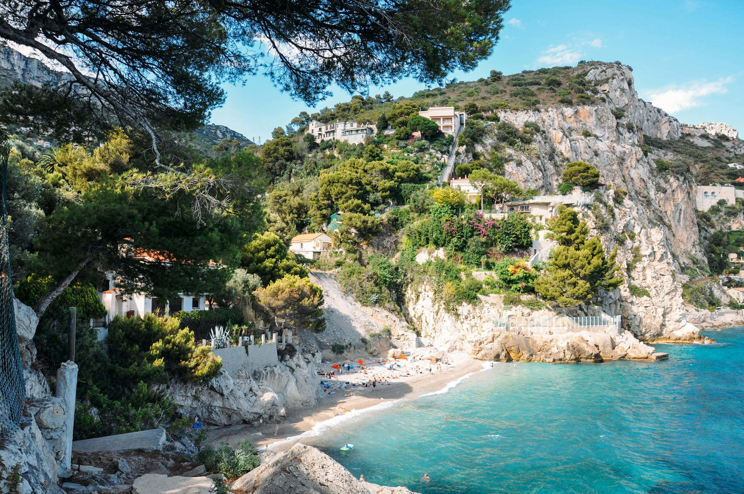 French Beach 桌布 壁紙 — 一個陽光普照的海岸小灣，擁有碧綠色的海水和岩石峭壁，點綴著茂密的綠色植物和沙灘遊客。